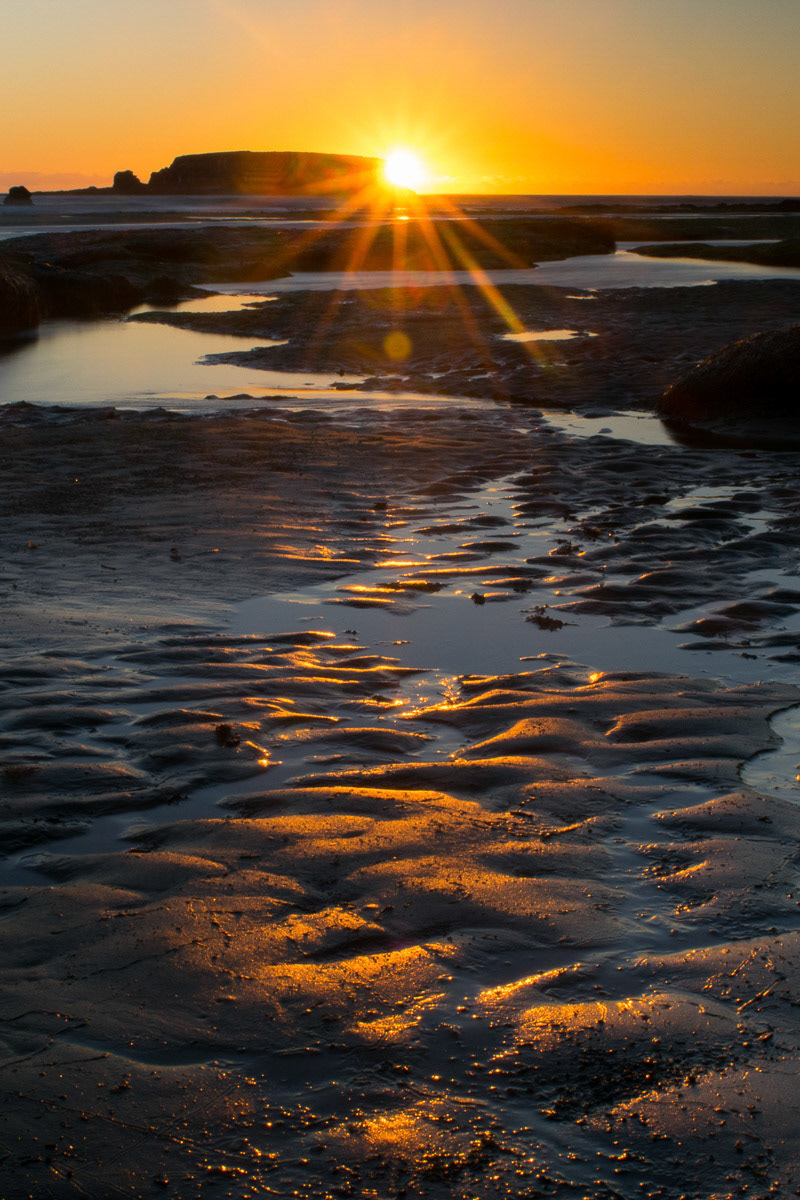 Oregon Beach Sunset