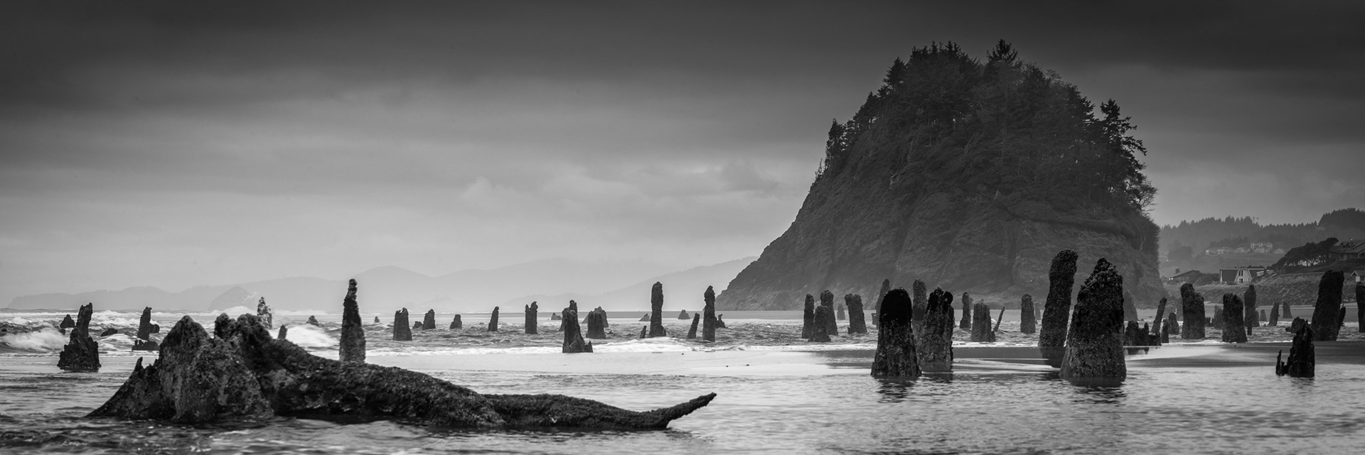 Ghost Forest at Neskowin Oregon