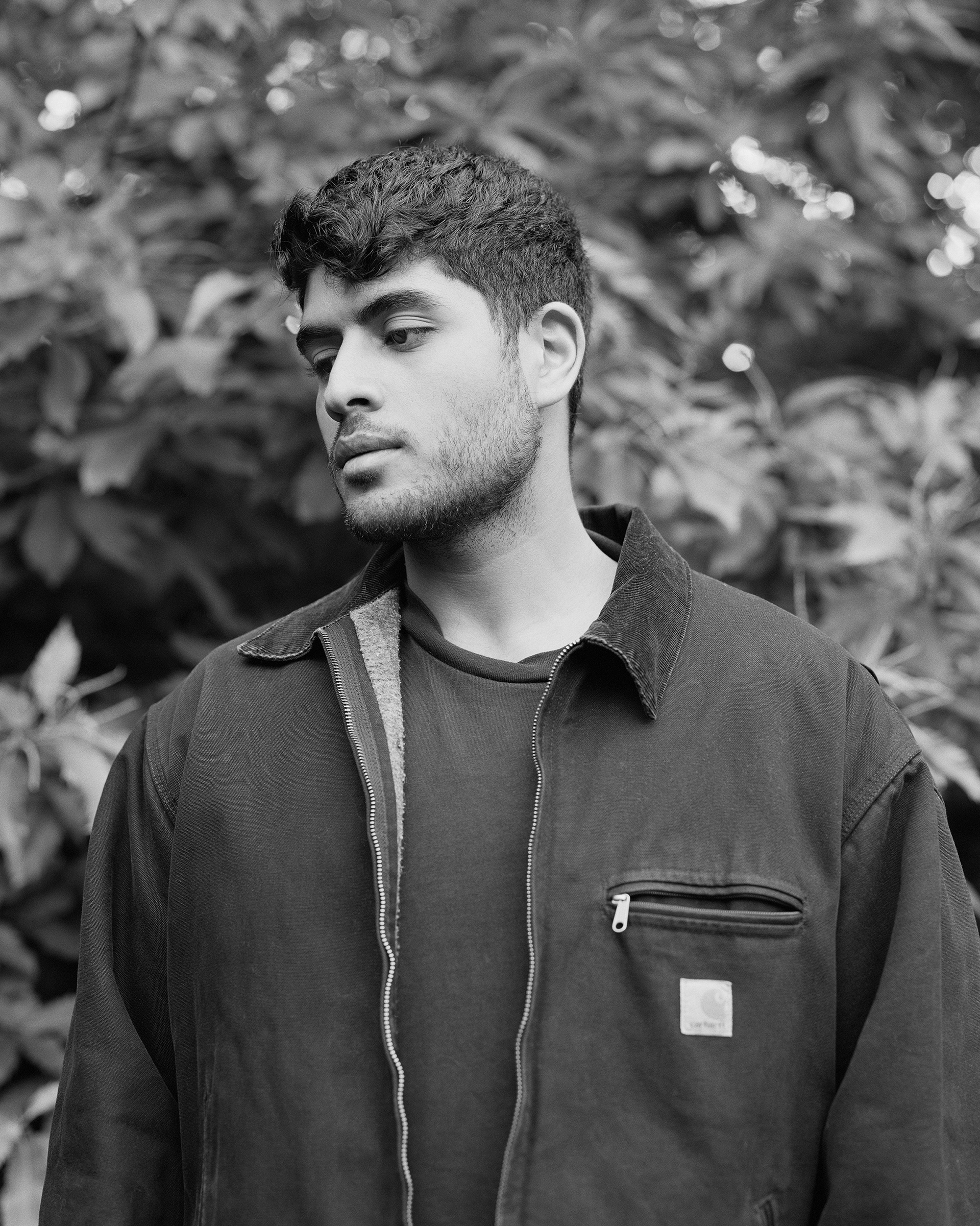 rayan nohra