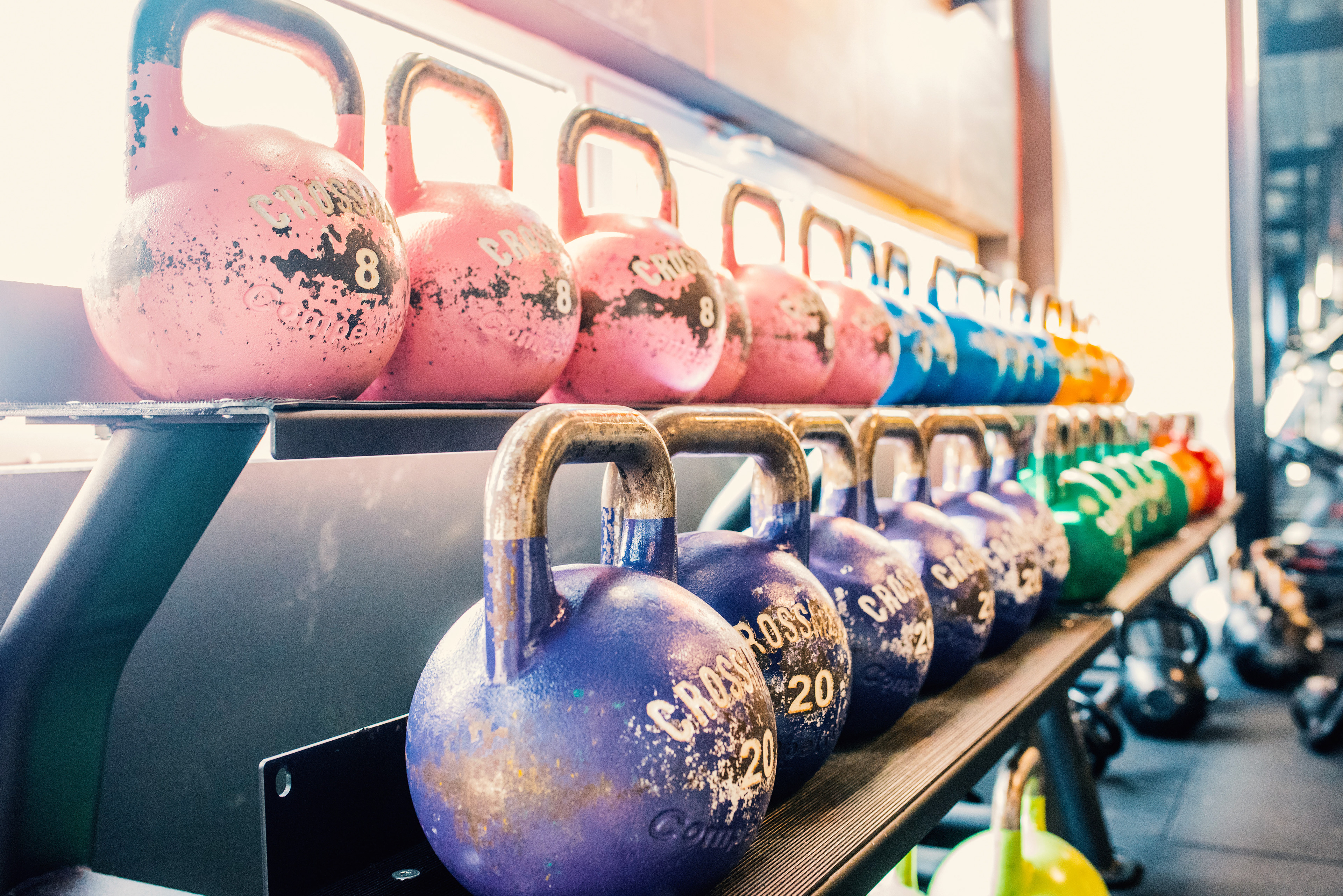 T H E F I T N E S S C L U B - D E L F T