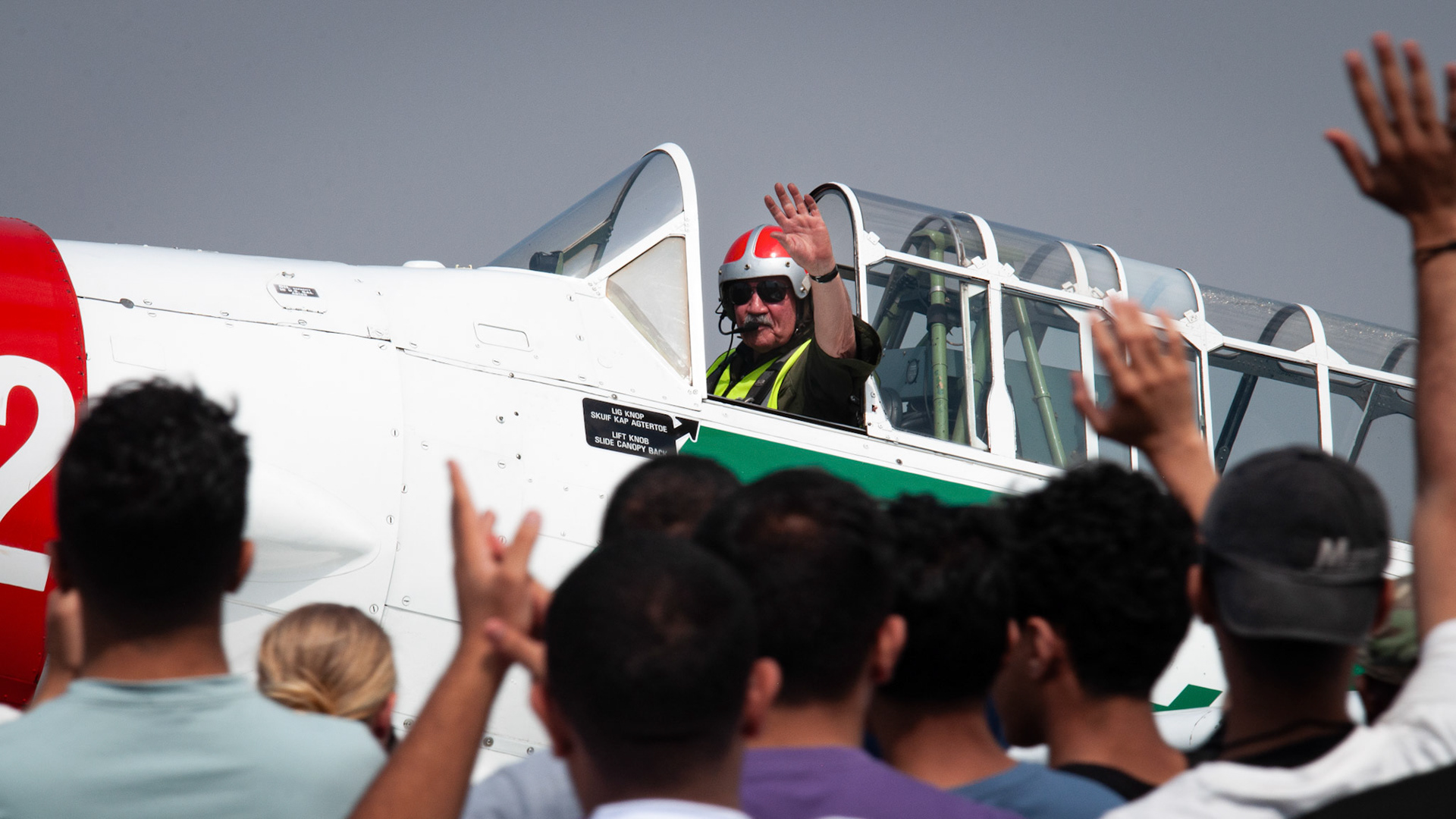 Flying Lions Harvard