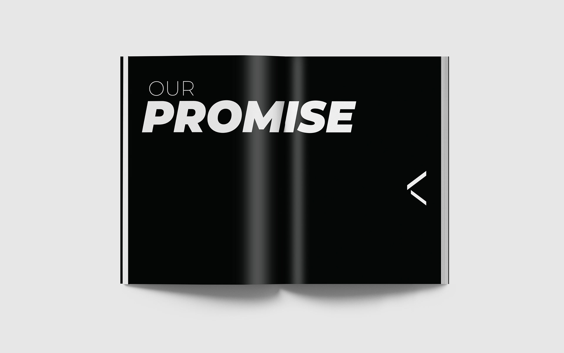 our promise section