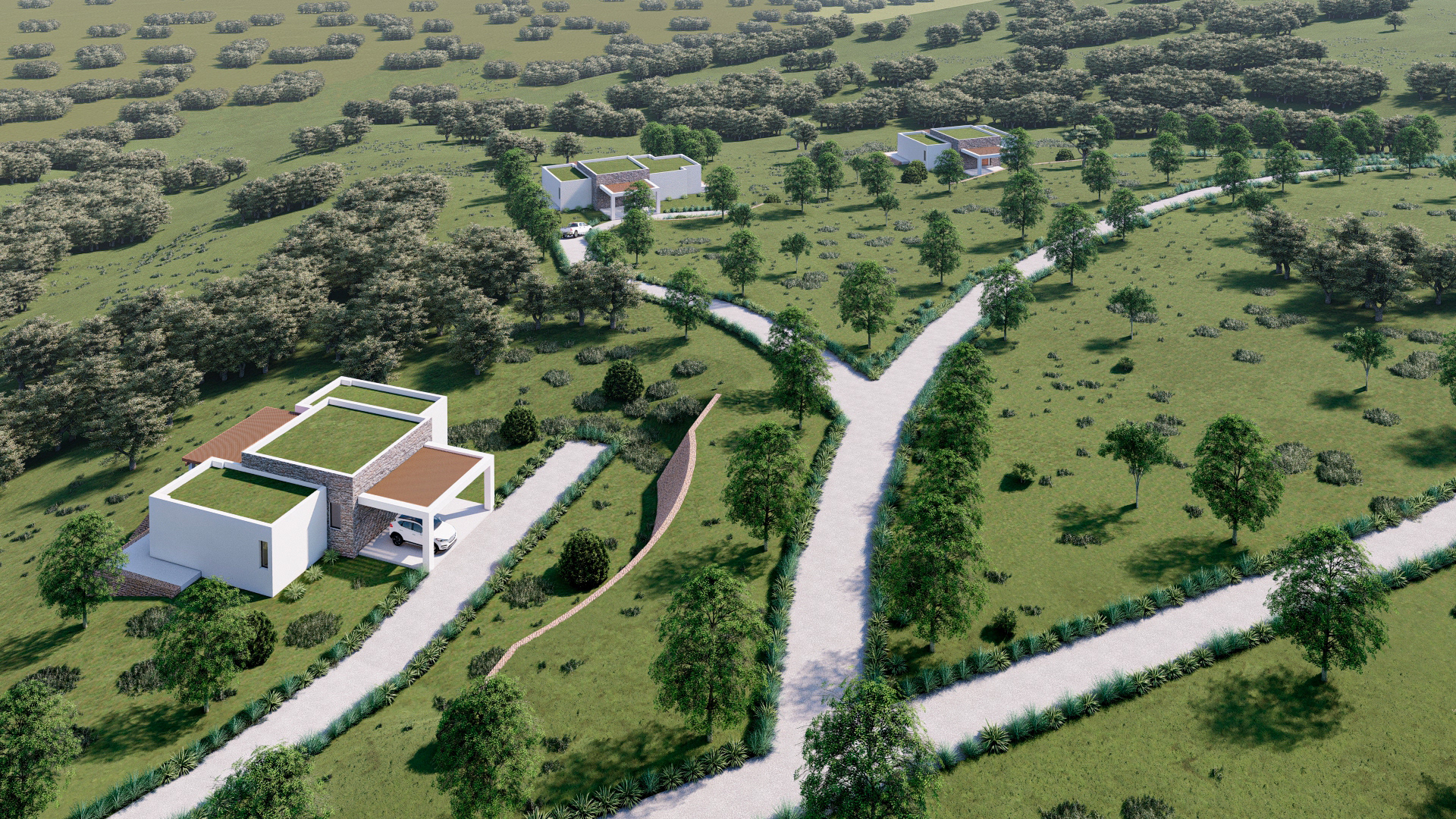 Conjunto de Casas - Estudio RVG
