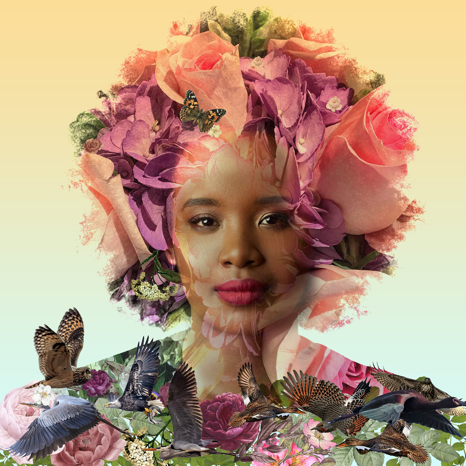 Faustina Agolley