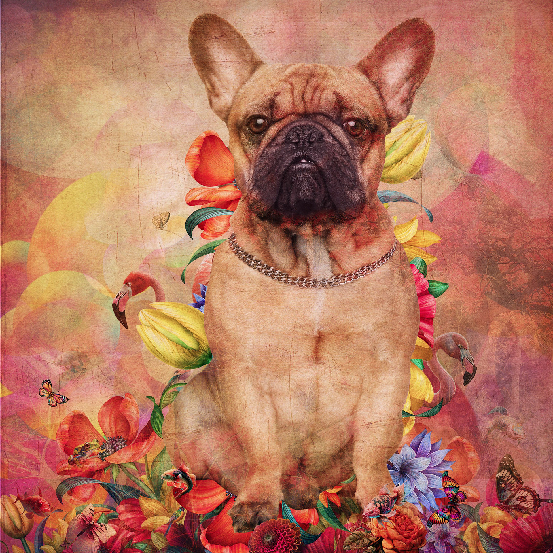 Puggles