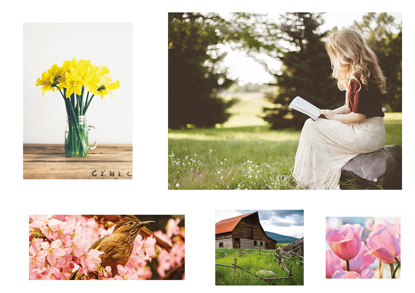 Moodboard