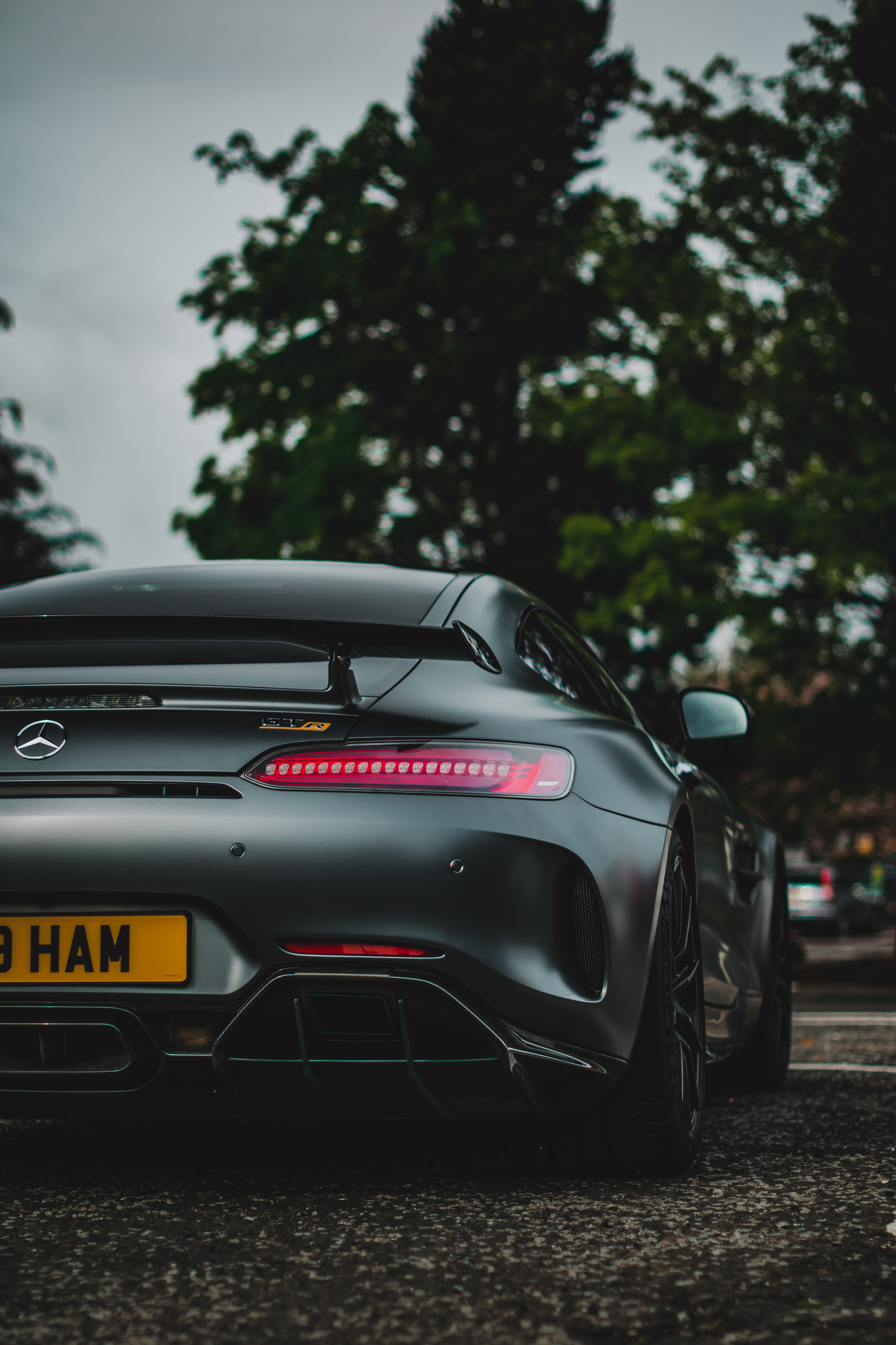 AMG GTR (back)