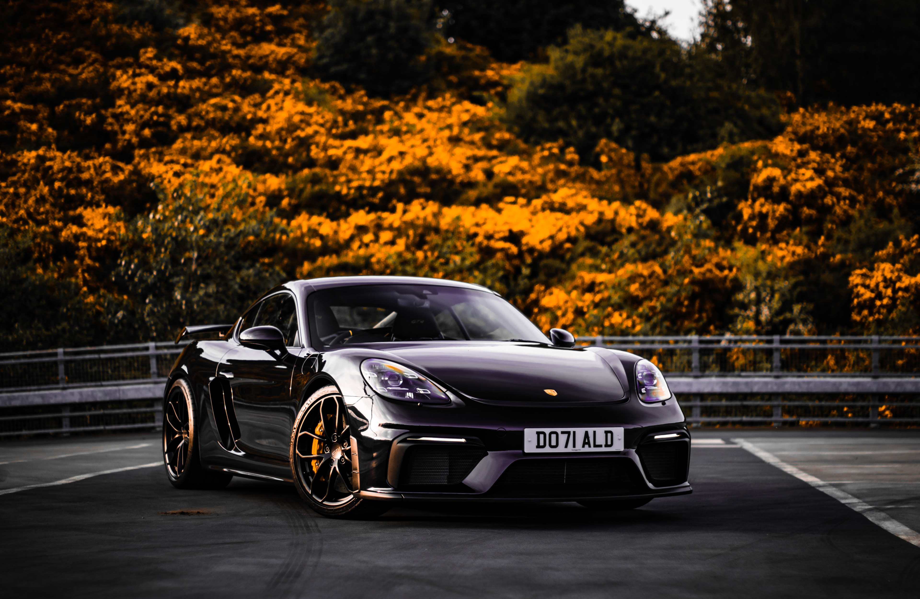 Porsche GT4 (Front Shot)