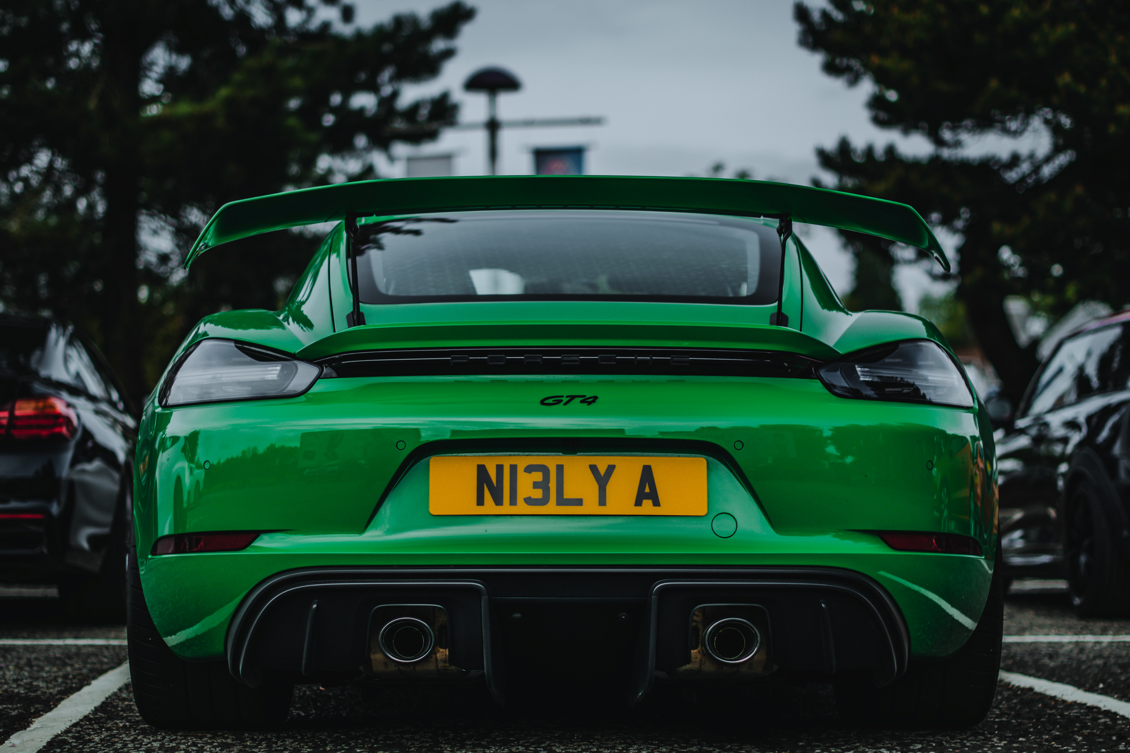 Porsche GT4 (back)