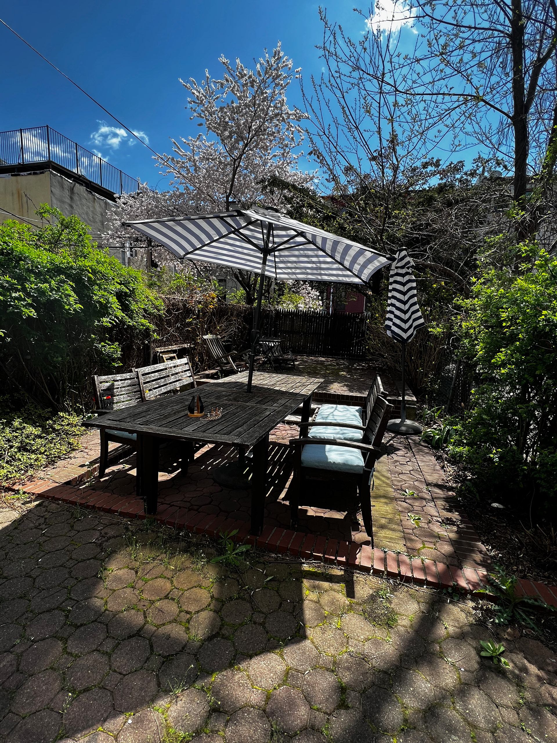 Garden(main activity space)