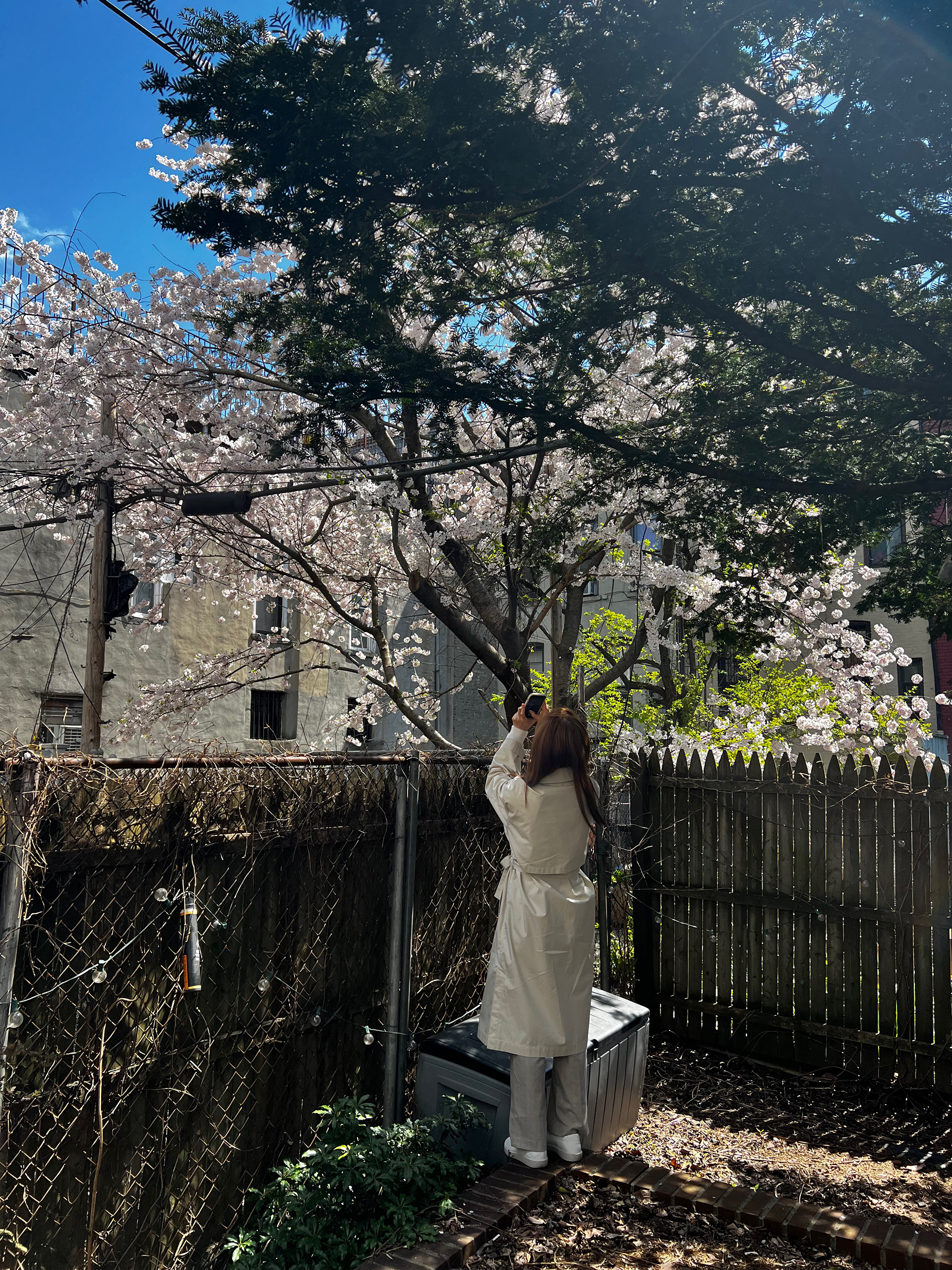 Corner of garden