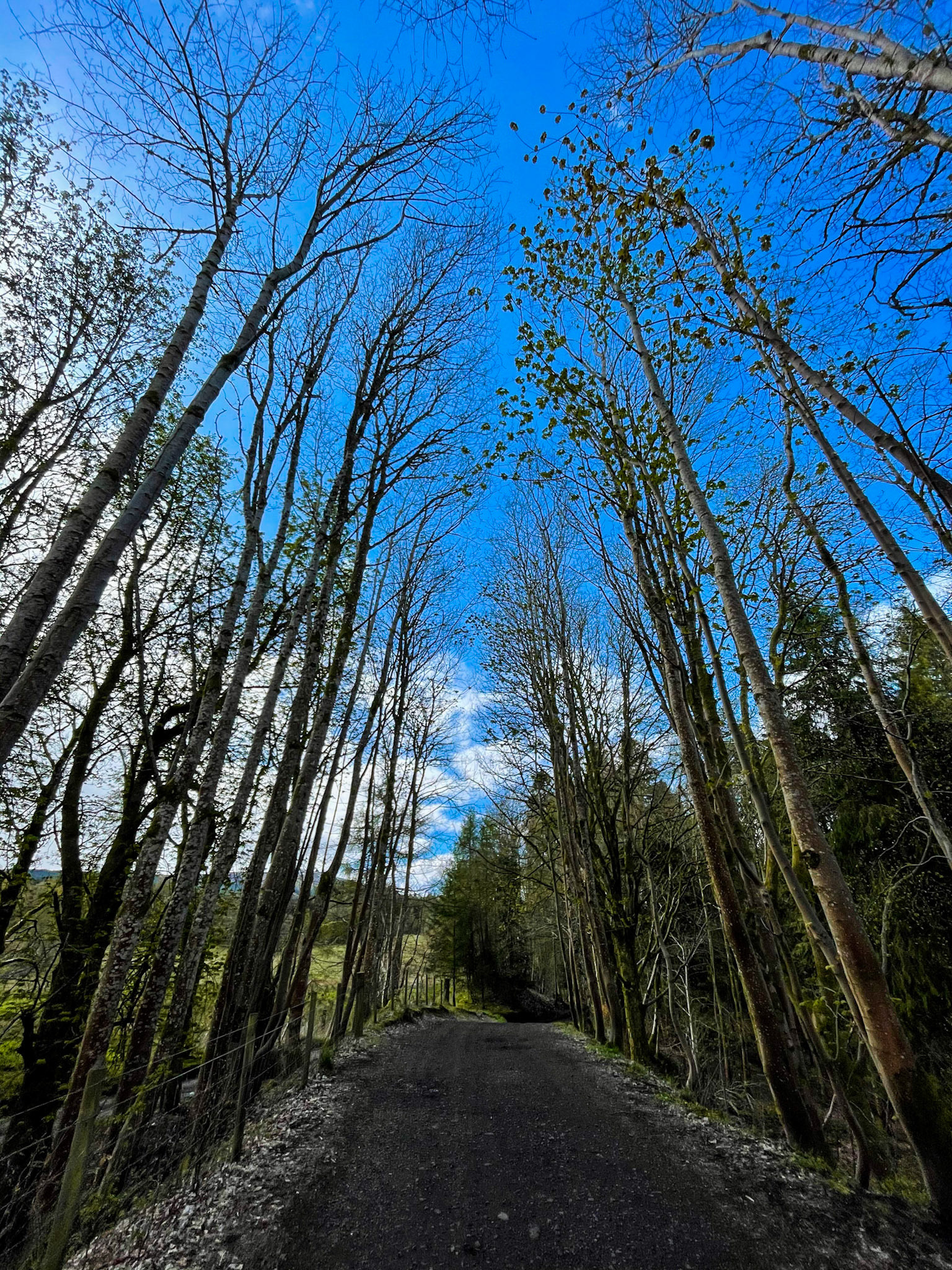 the walk towards the Loch