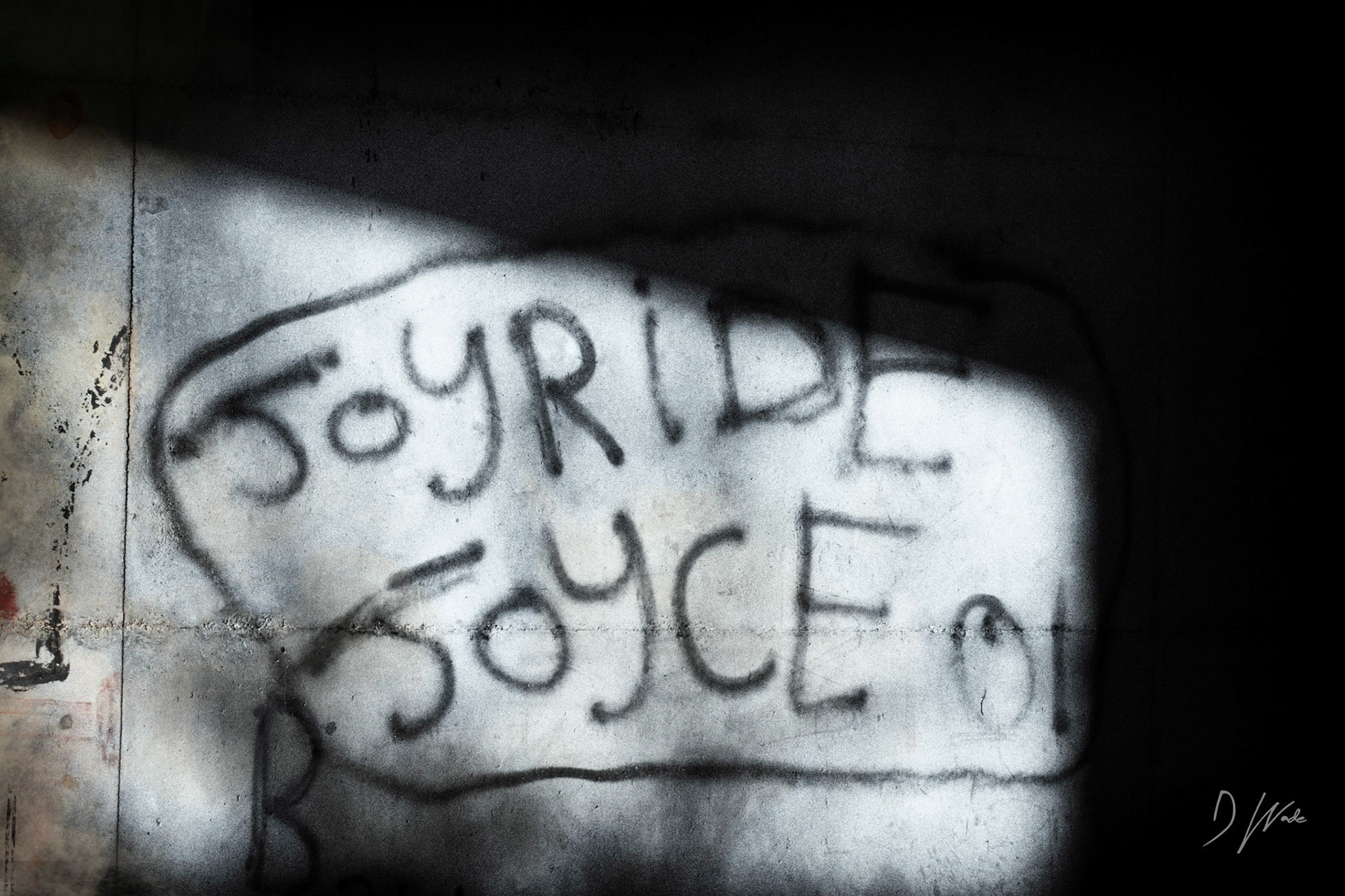 I not condoning graffiti, but sometimes it makes an interesting photo opportunity. This can be found under the A19 on the Haswell to Hart Walkway, not far from Castle Eden.