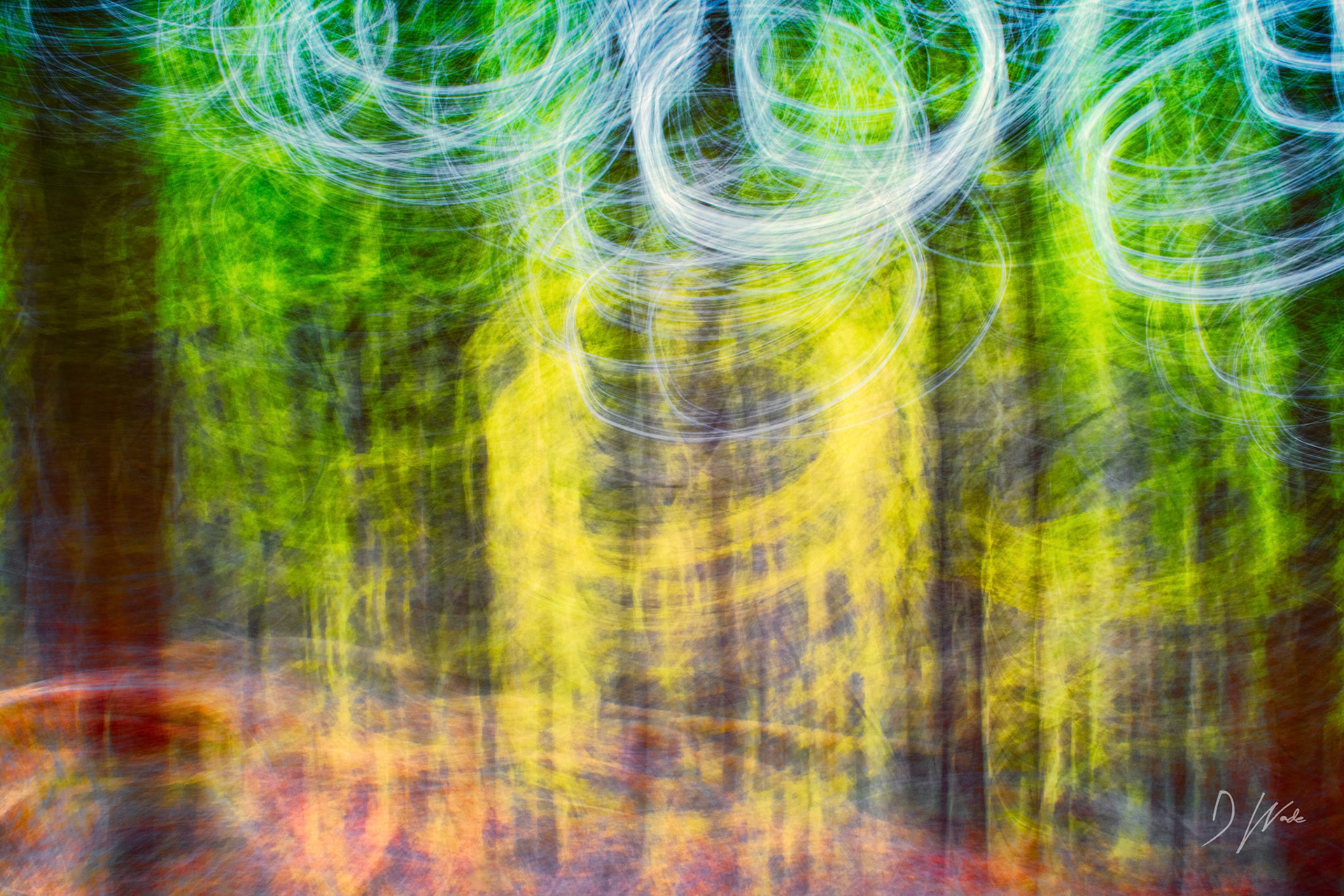 Drawing circles with the camera shutter open is a great way to create abstract images.
