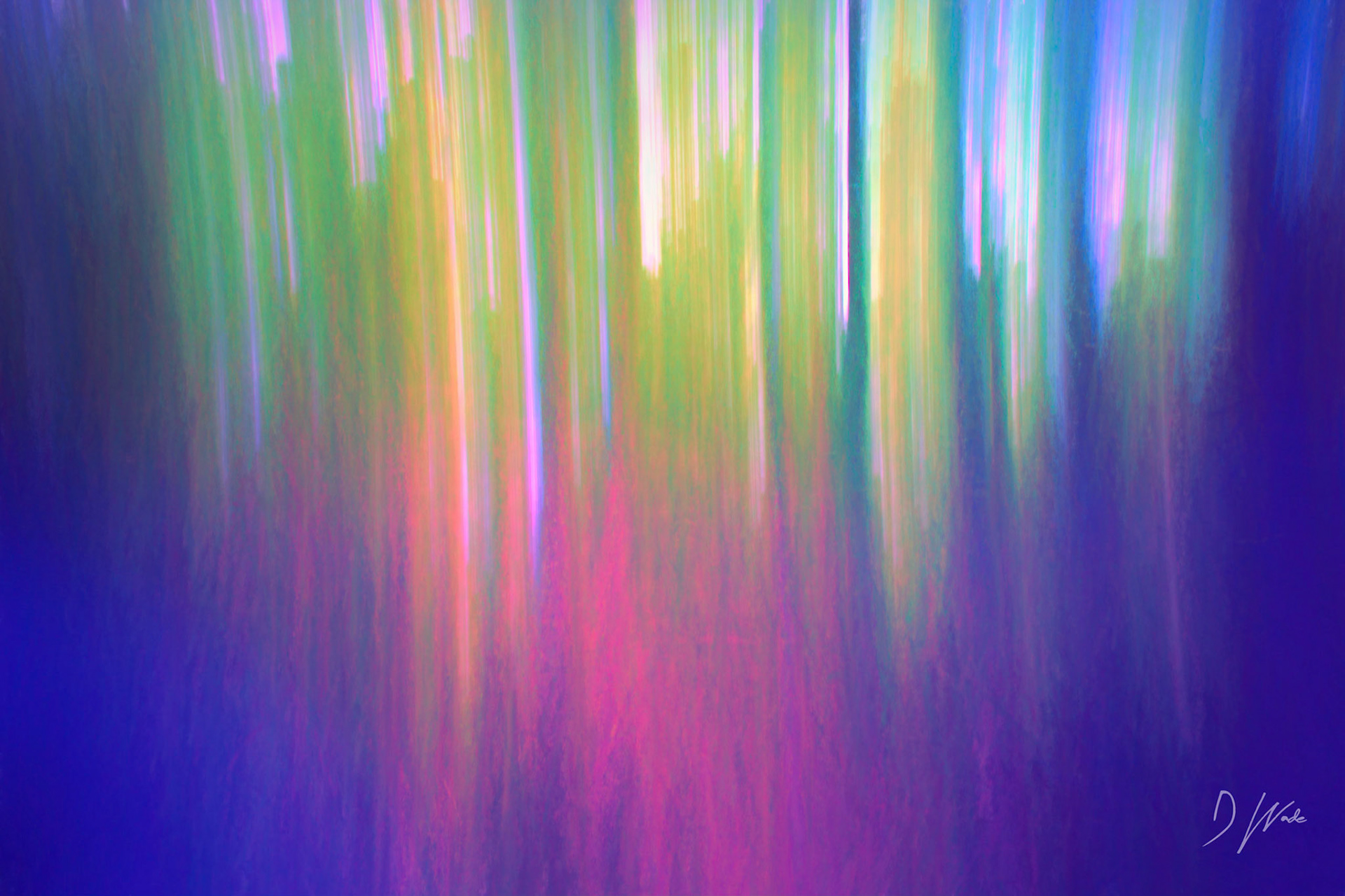 I used a slow shutter speed while moving the camera upwards. The result is a rather abstract image of the trees. I enhanced the colours and also added some textures.
