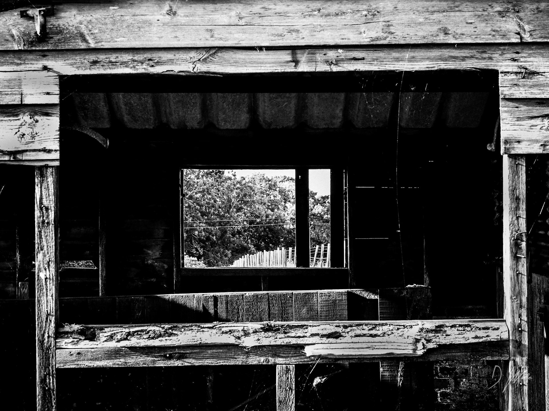 Looking through the derelict barn brings up lots of interesting shapes and frames.