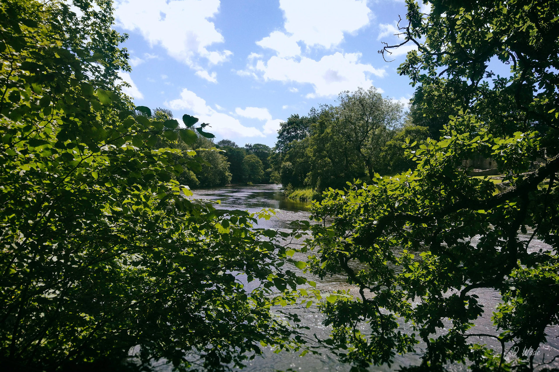 The River Wear next to Finchale Priory.