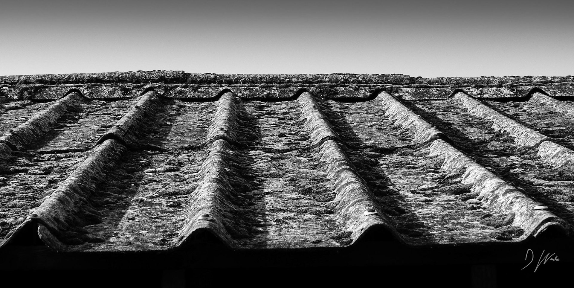 I love how the roof tiles create this wavy pattern. Interesting for an abstract shot.