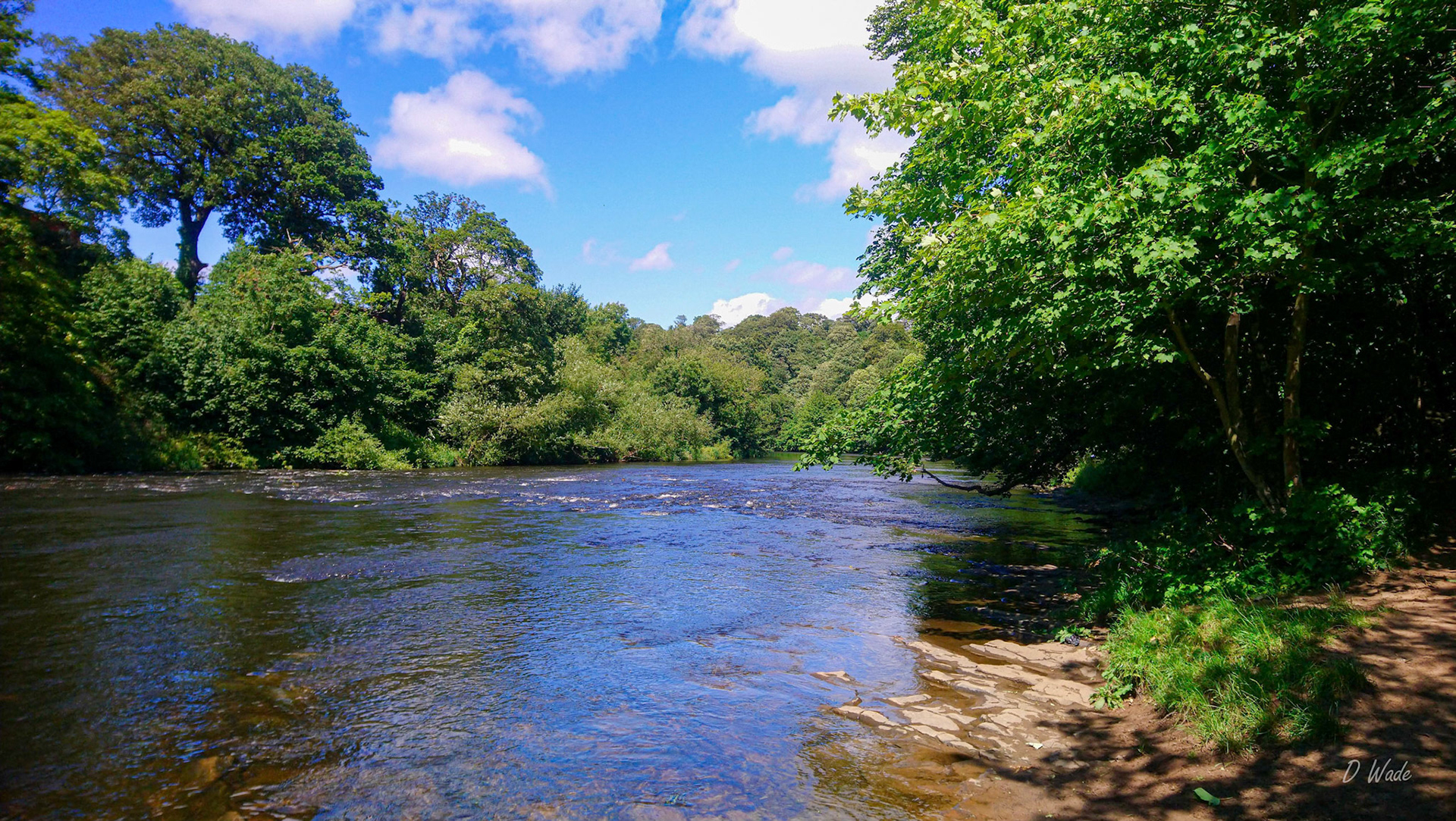 The River Wear next to Cocken Wood walk, Finchale.