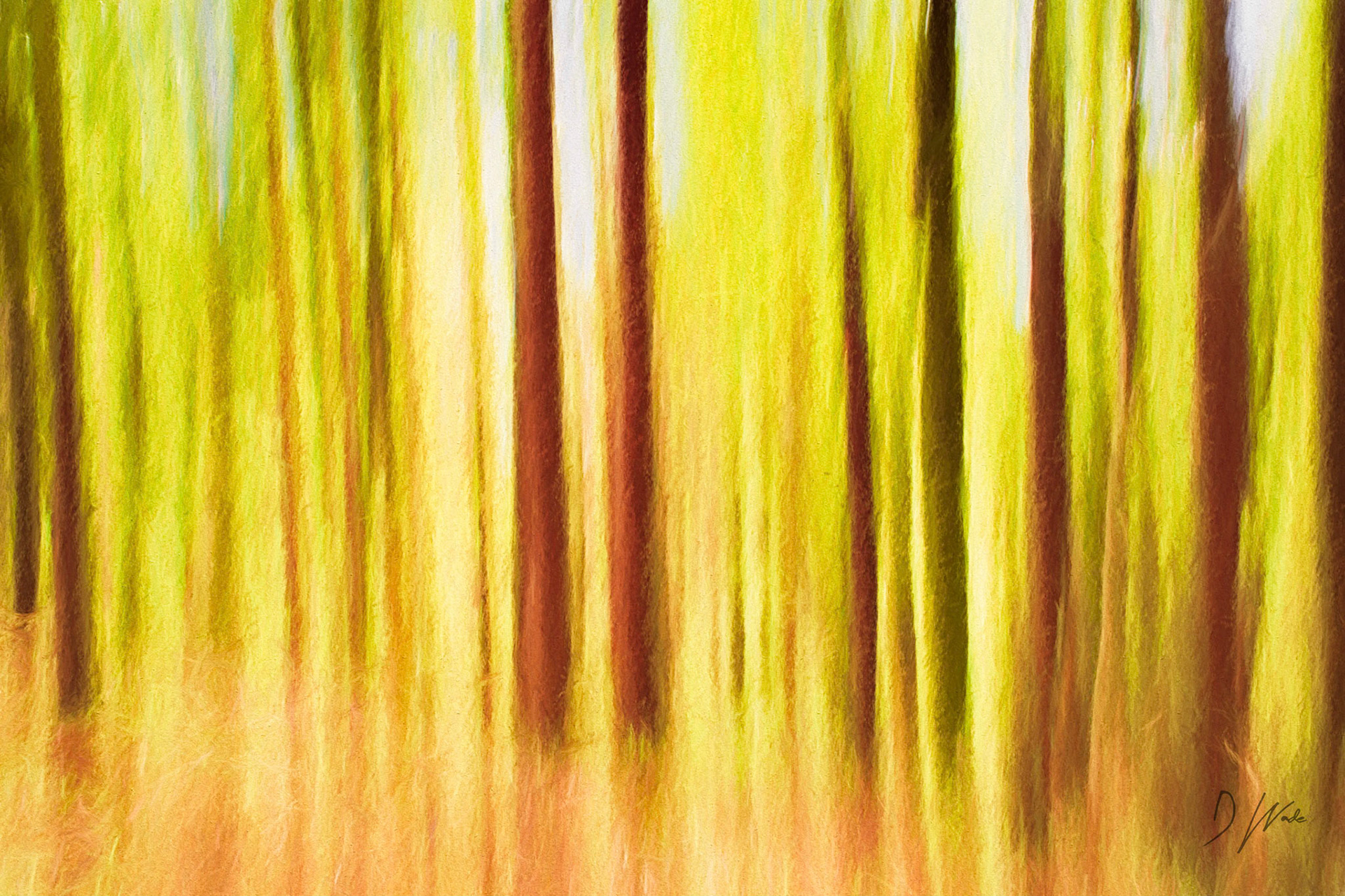I used a slow shutter speed while moving the camera upwards. I added a painterly effect to the result.