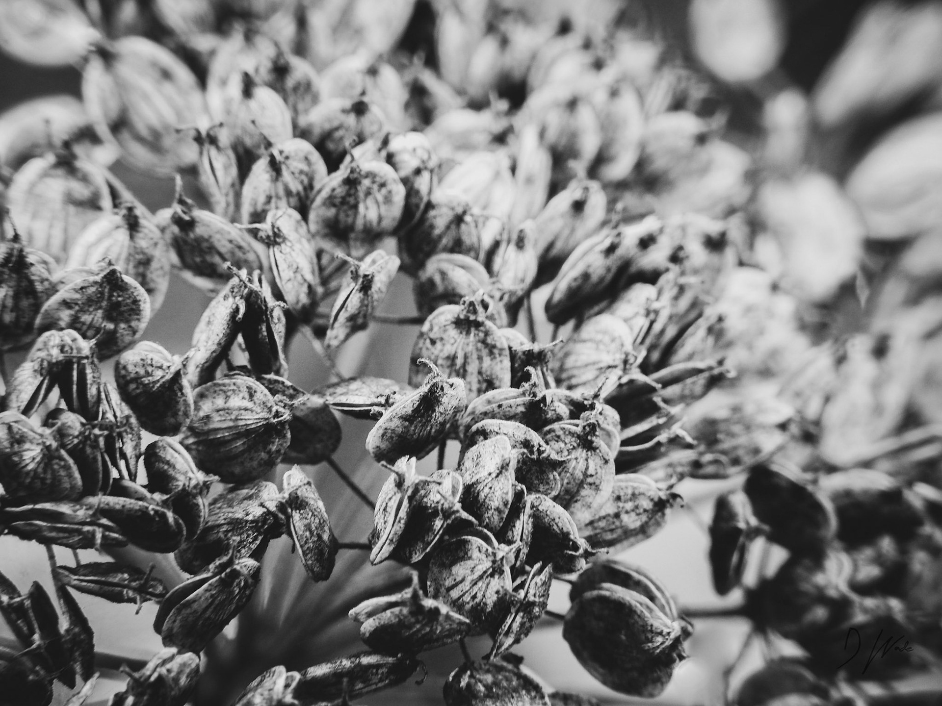 Some interesting textures here.