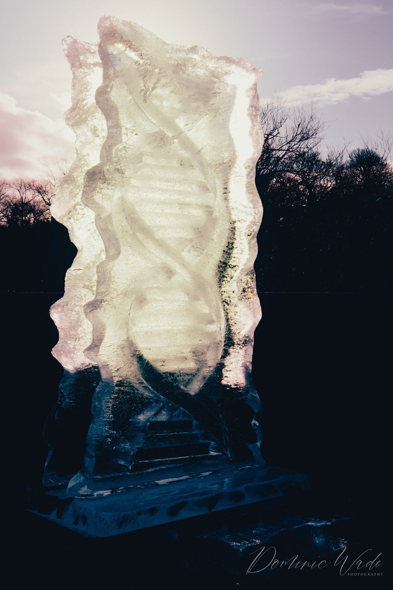 This ice sculpture is photographed at the Fire and Ice Festival.