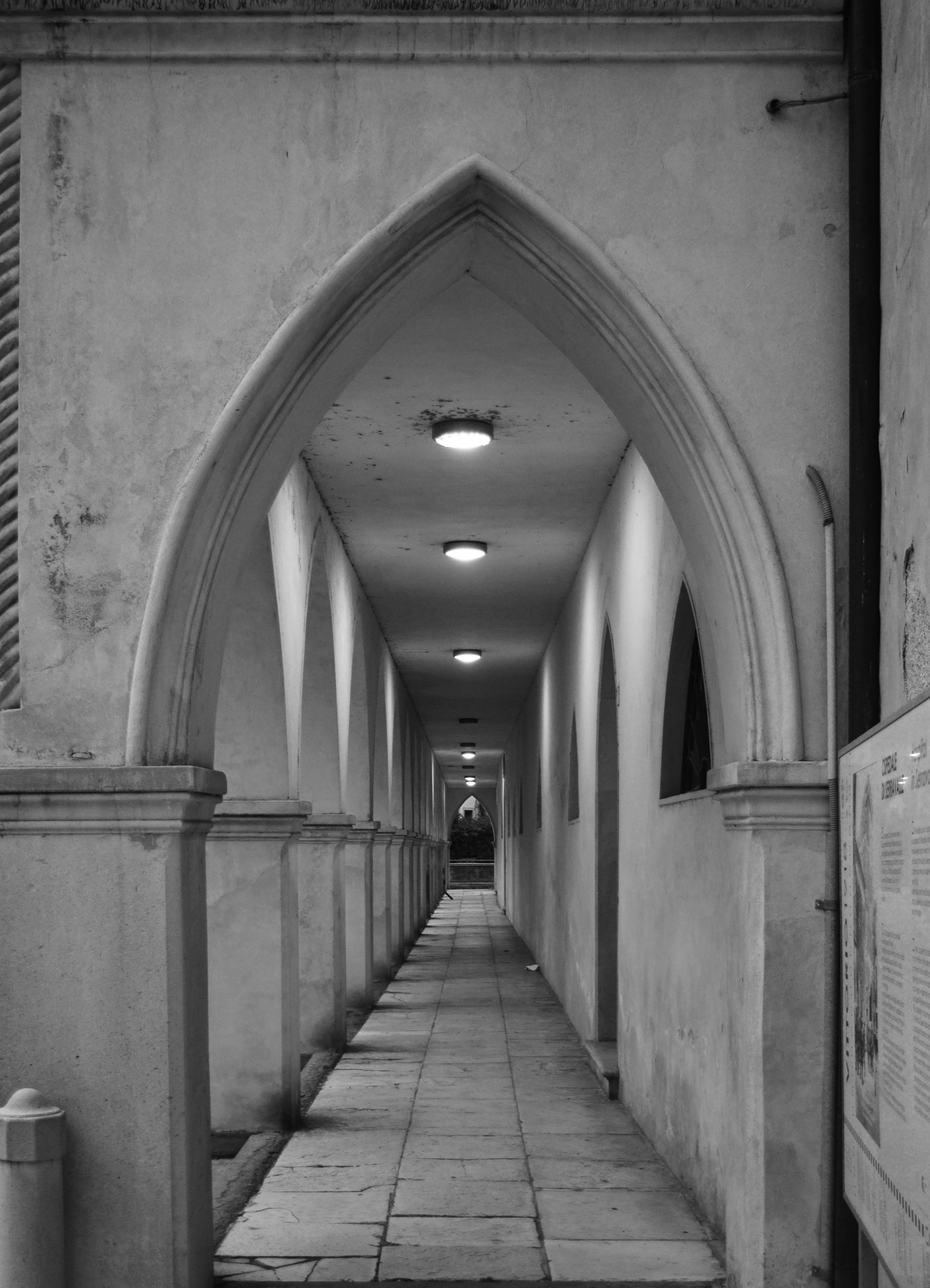 Leonardo Pin, Serravalle, 2021