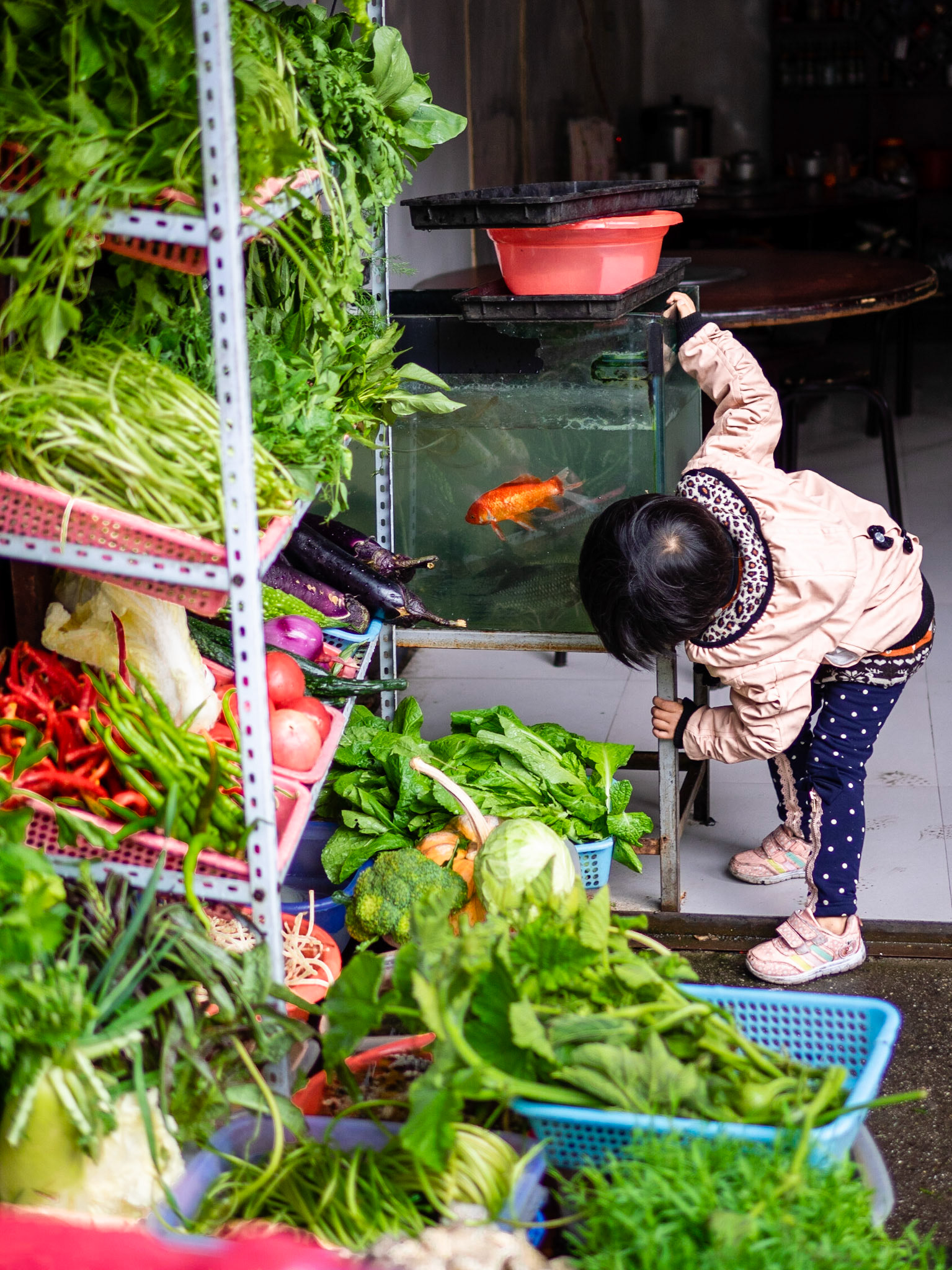 Dali, Yunnan. China. October 2014.