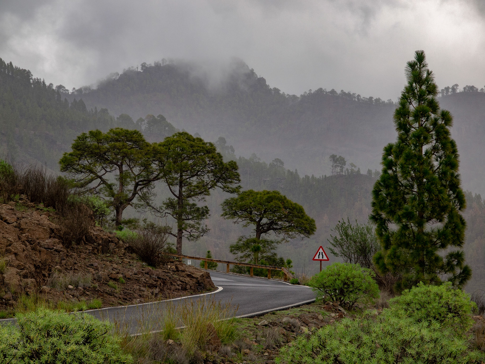 Gran Canaria, Spain. November 2012.