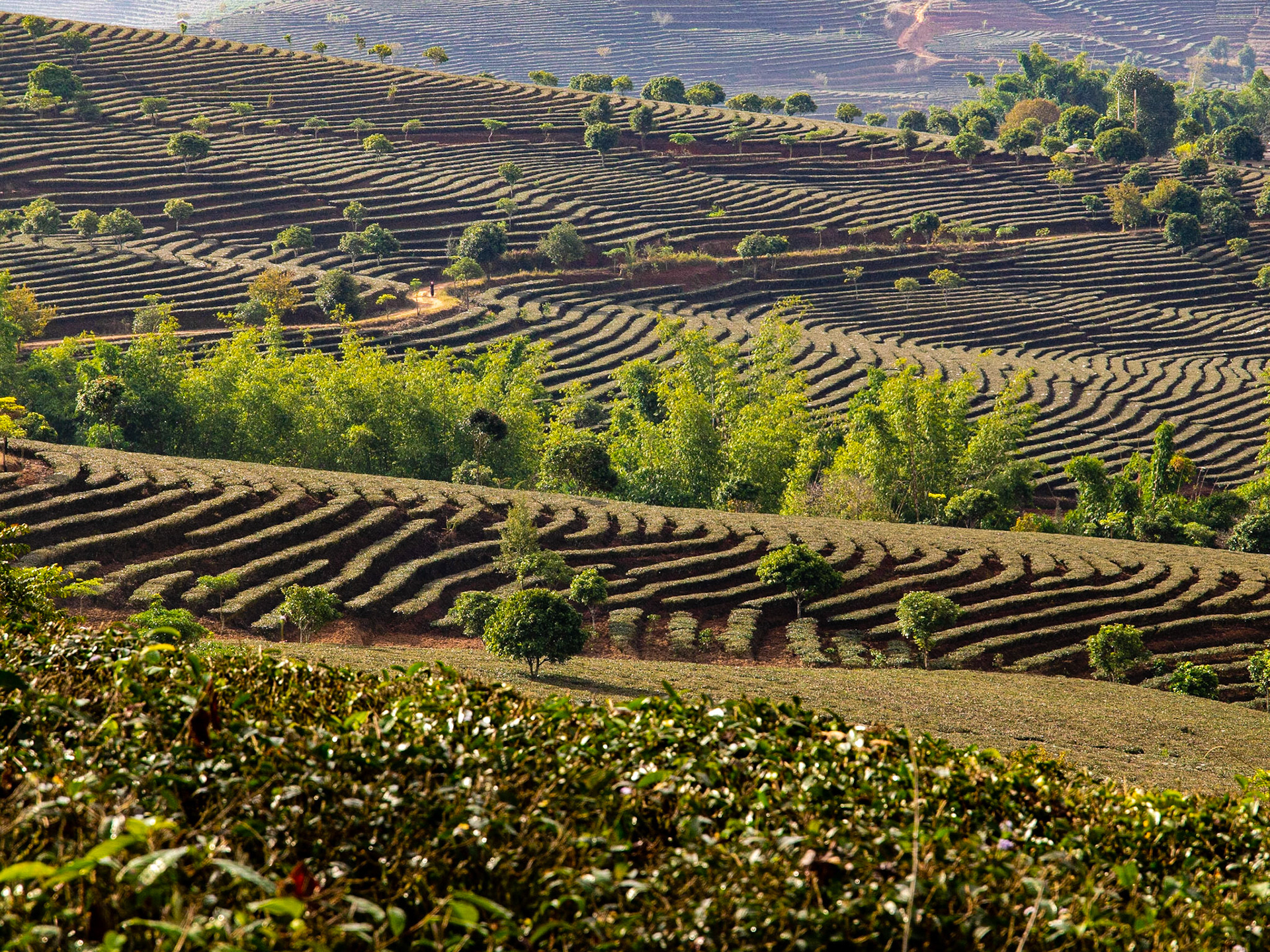 Yuxi, Yunnan. China. December 2011.