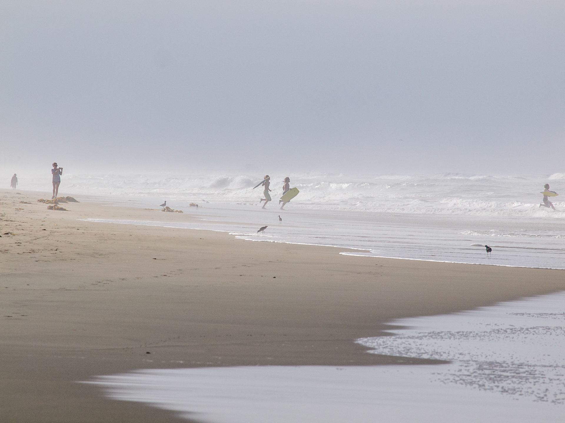 Huntington Beach, Los Angeles, California. United States of America. August 2014.