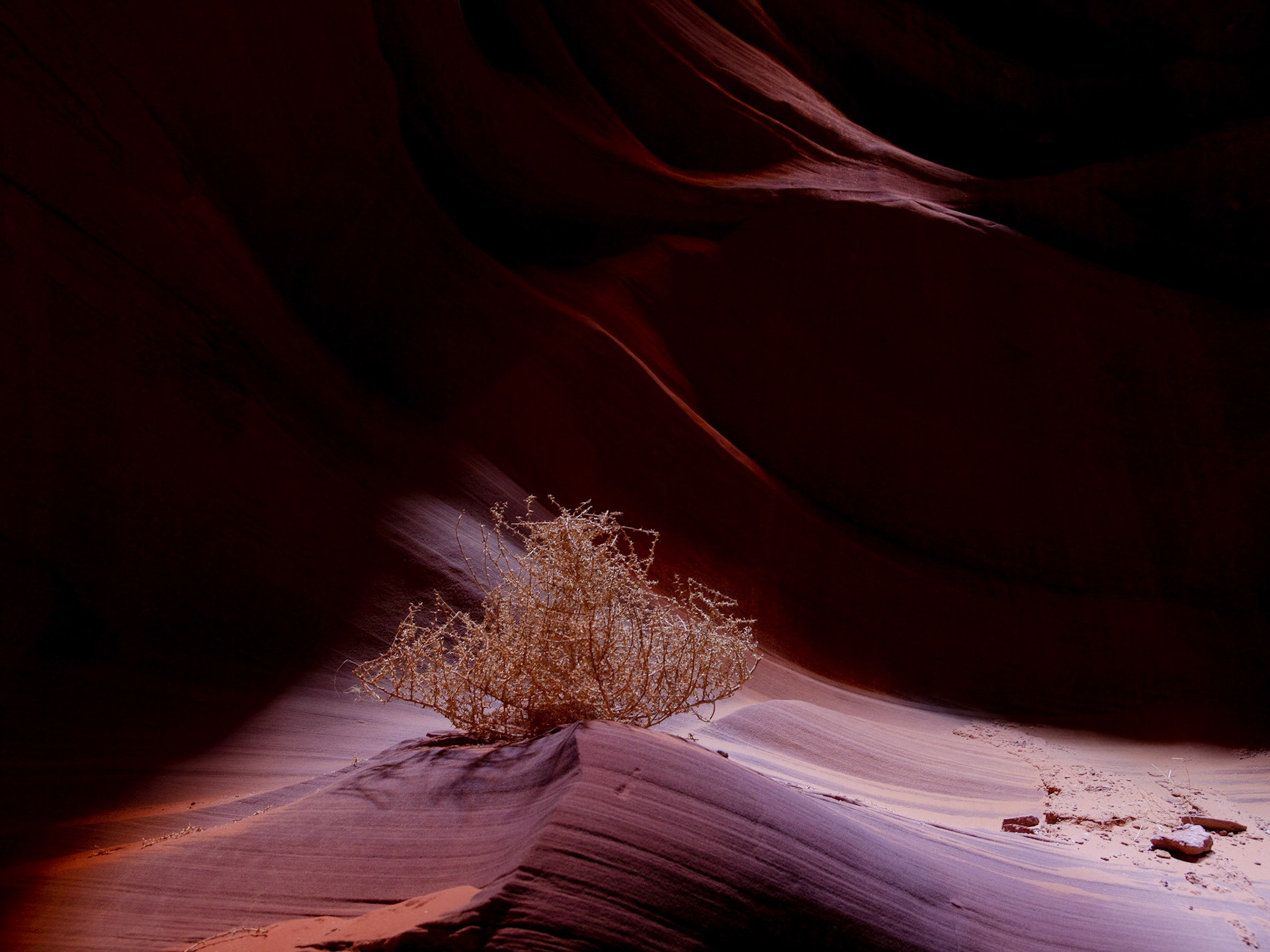 Antelope Canyon. Arizona, USA.
