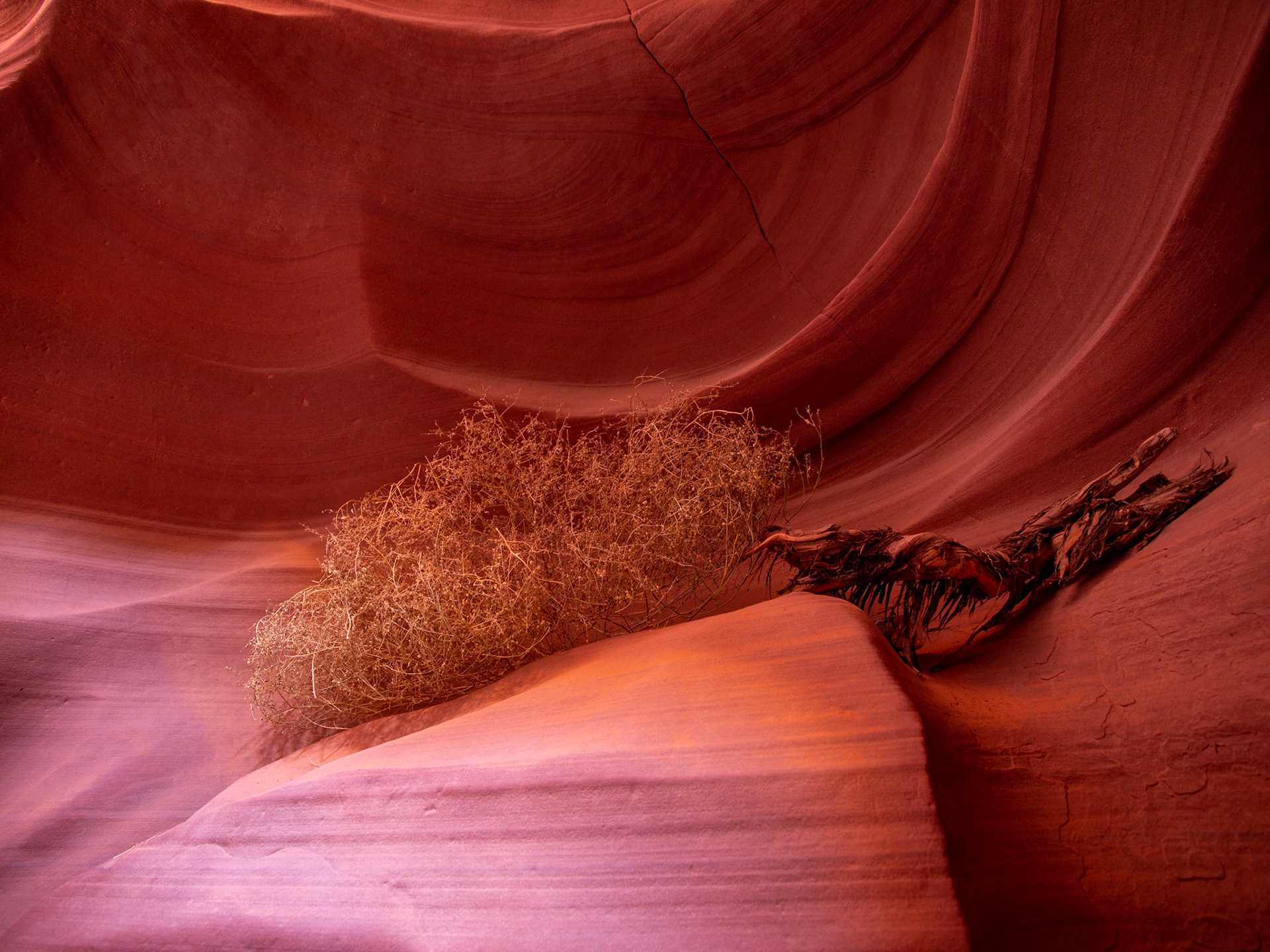 Antelope Canyon. Arizona, USA.