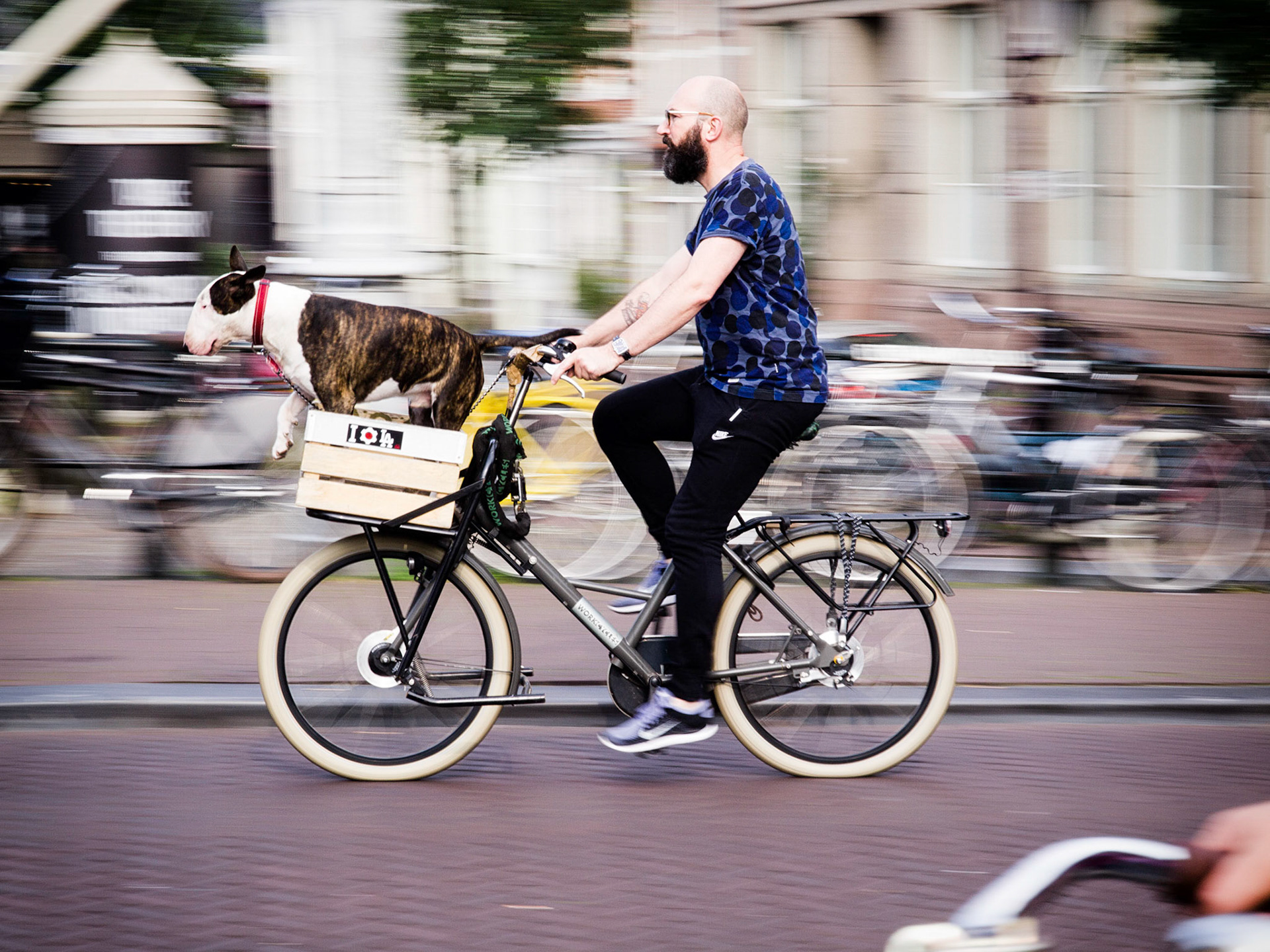 Amsterdam. September 2014.