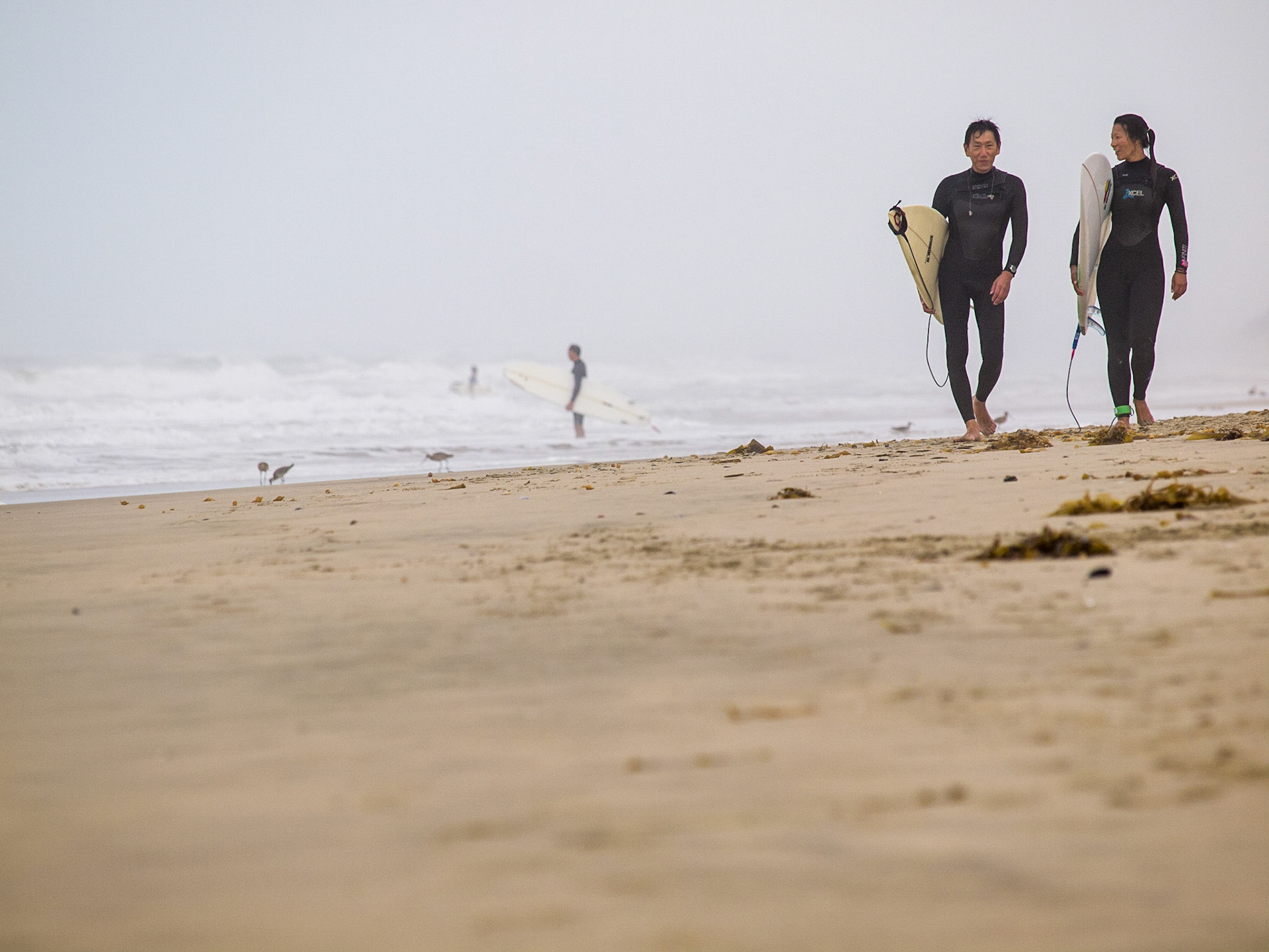 Huntington Beach, Los Angeles, California. United States of America. August 2014.