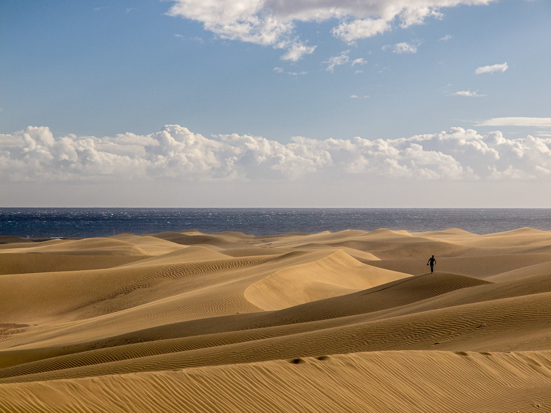 Gran Canaria, Spain. November 2012.