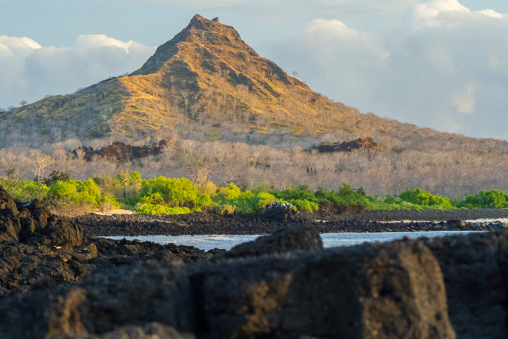 Dragon Hill of Santa Cruz in Galapagos Islands