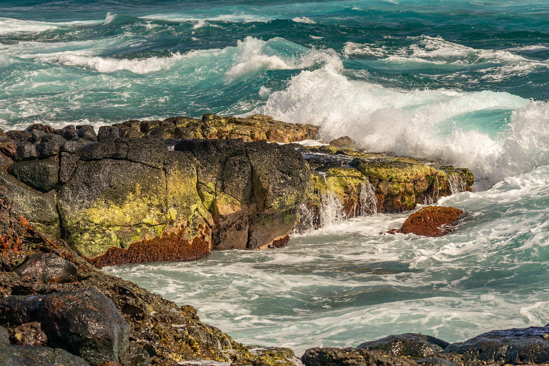 Colors of Kauai's Rocky Shore