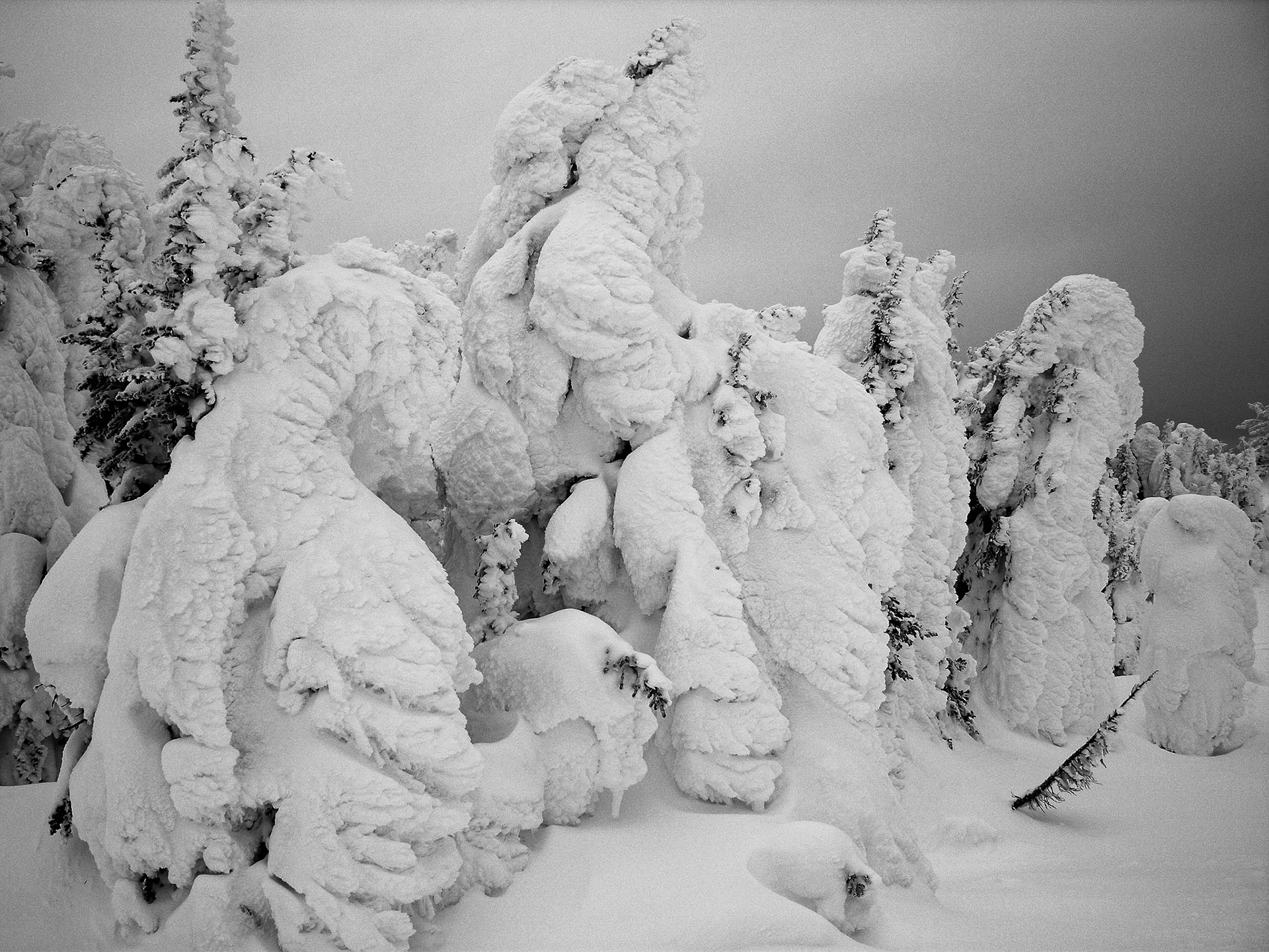 Top of the Mountain at Sun Peaks