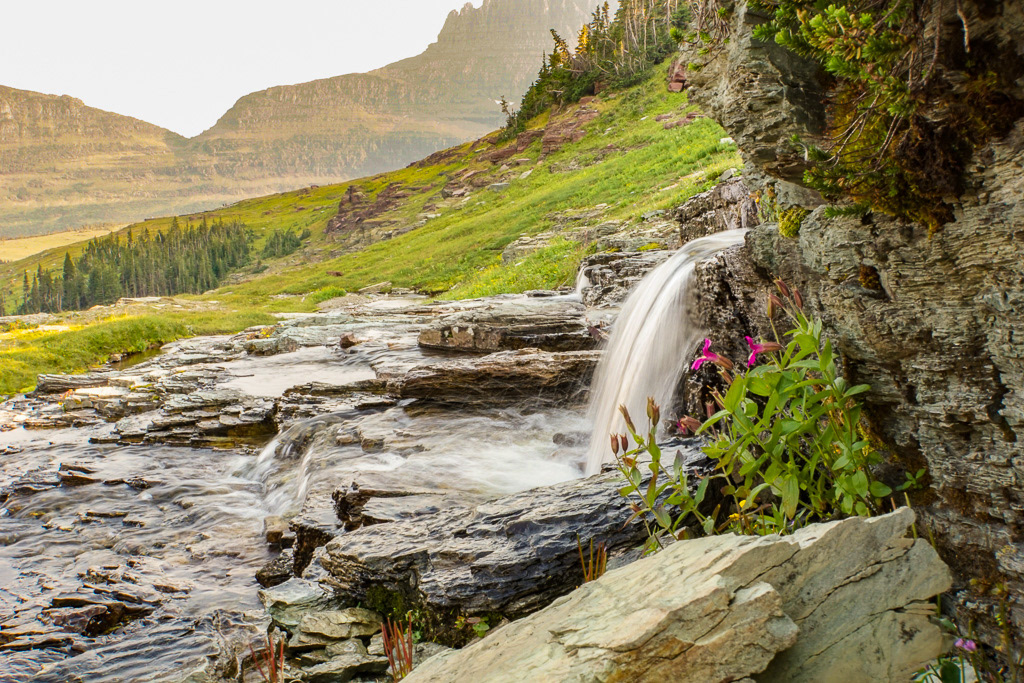 Waterfall and Wildflowers at Logan Pass in Glacier National Park