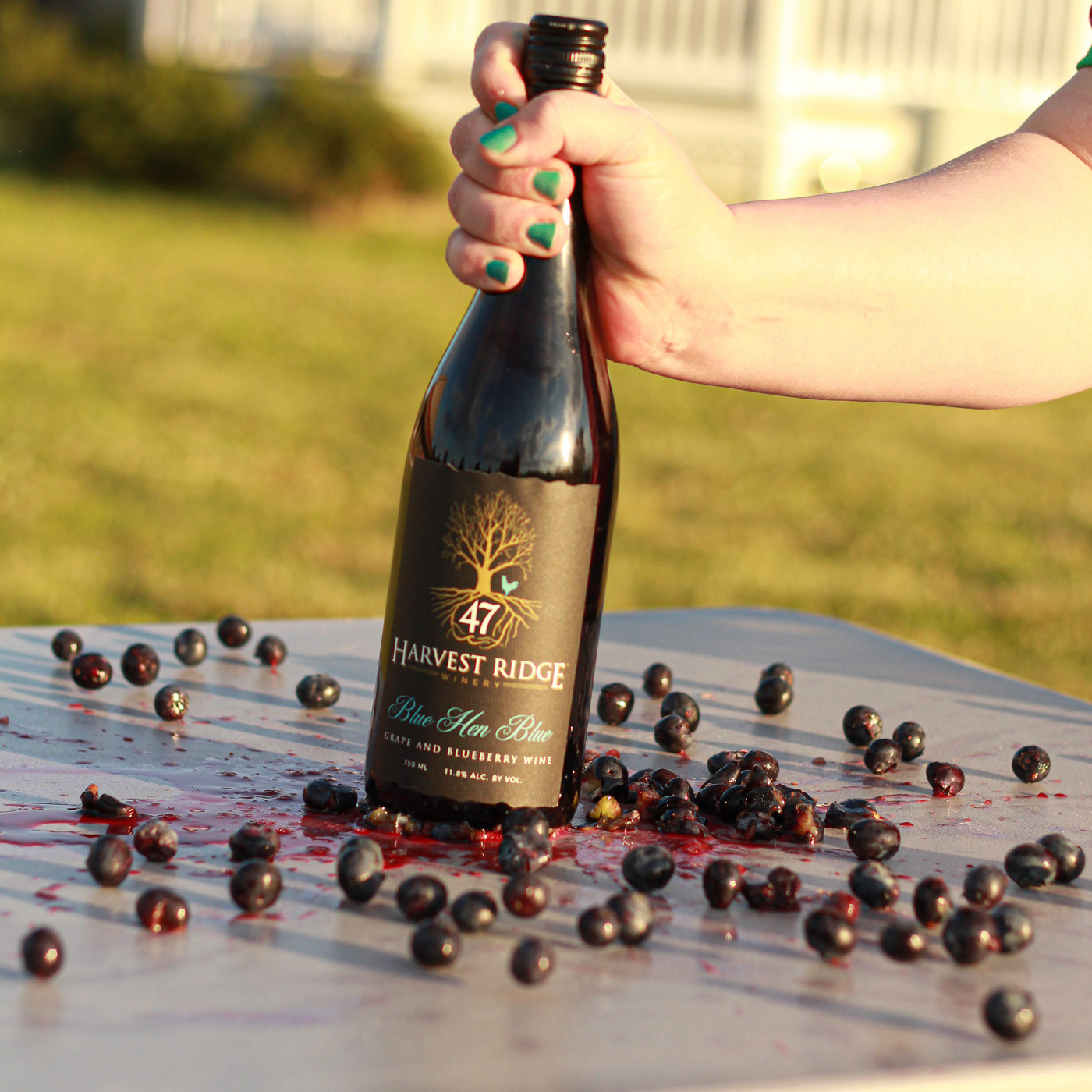 Harvest Ridge Winery label design