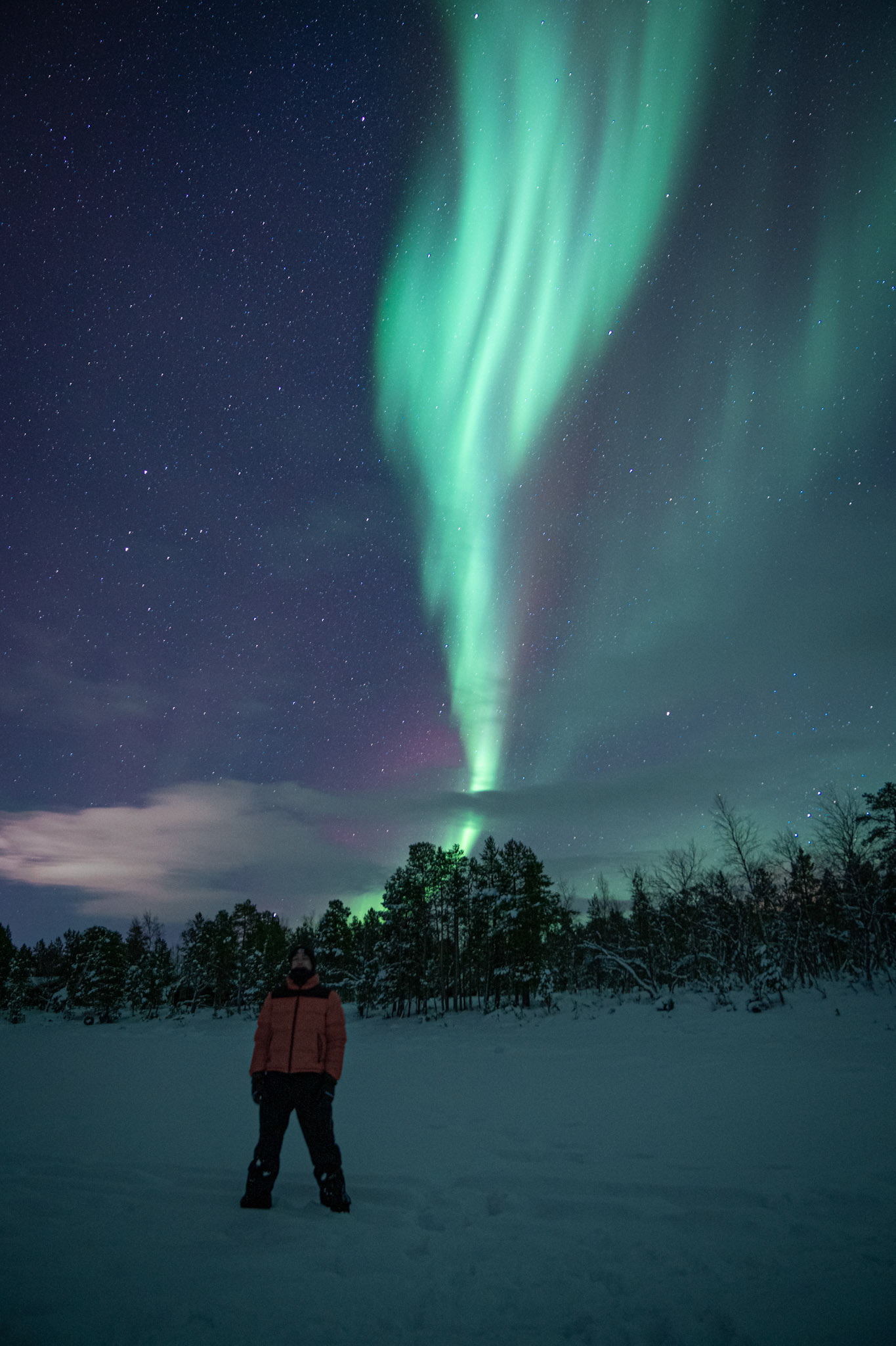 Alex (@alexbuildlex)