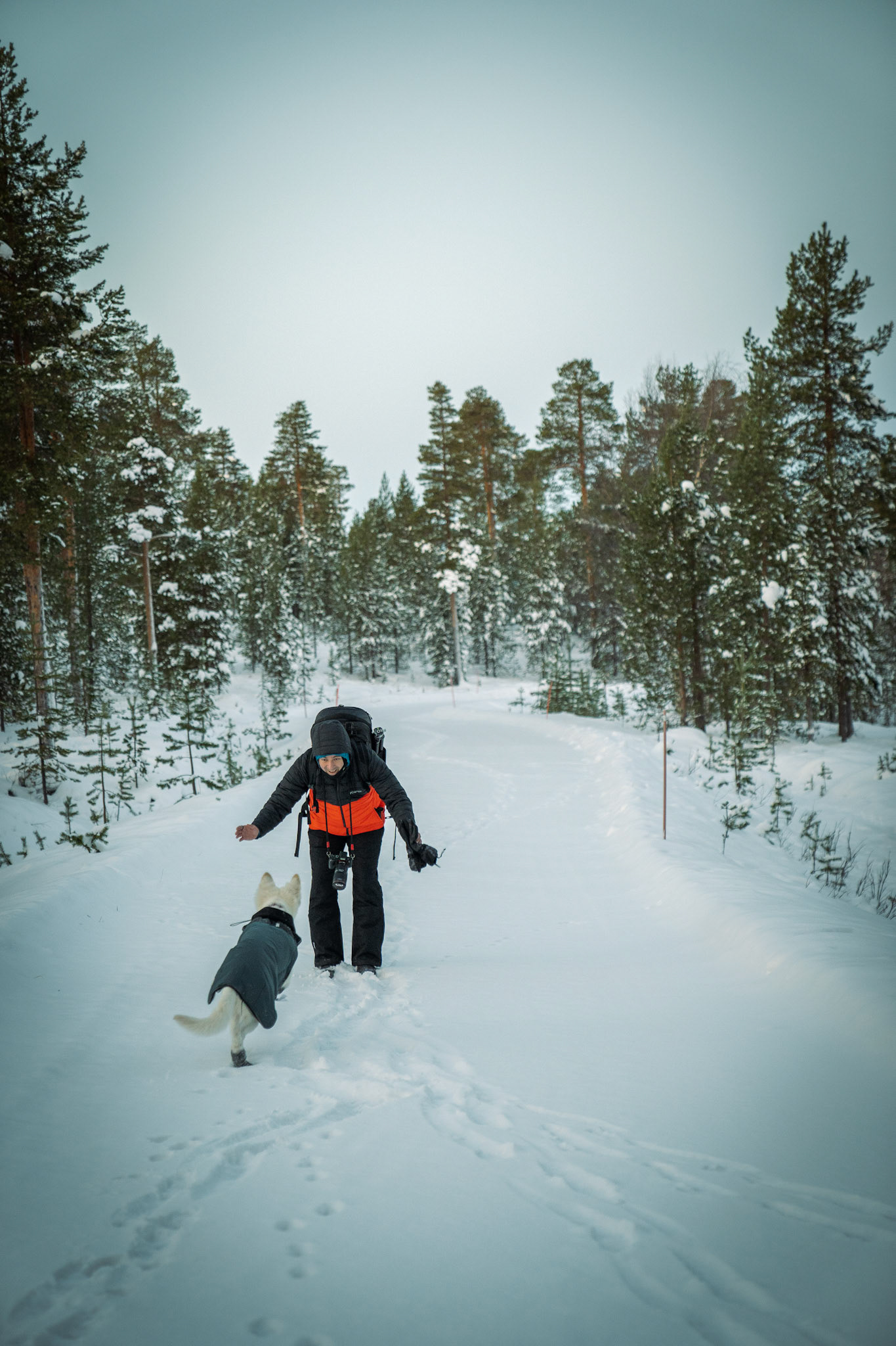 Mallow (@mallow.theshepherd) & Mark (@markherpich) 