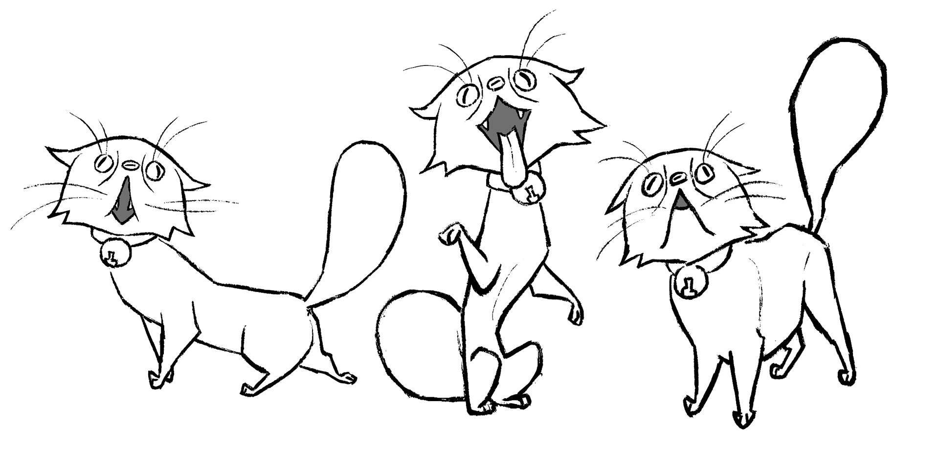 Schrodinger | Cat Explorations