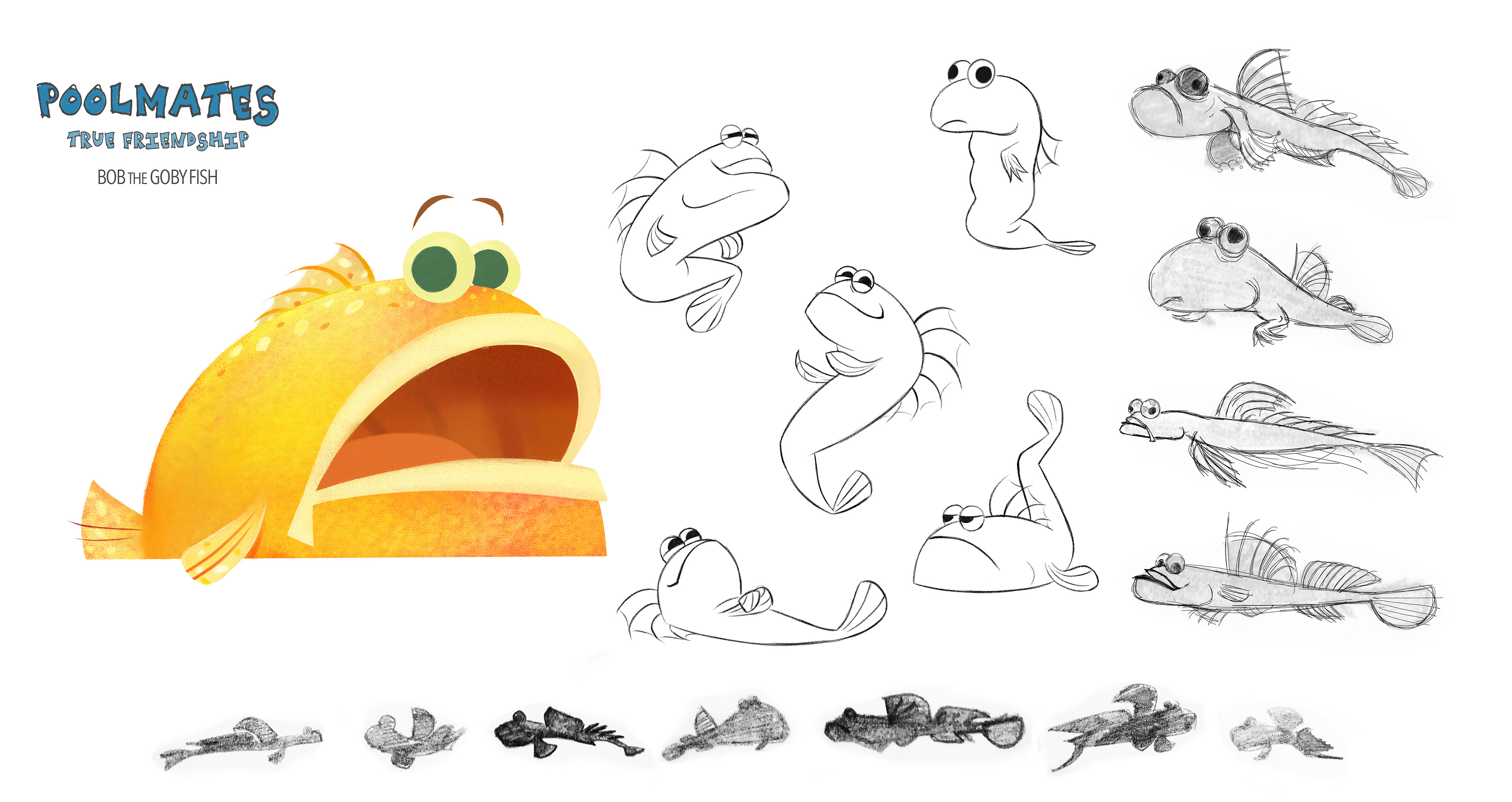 Bob Exploration