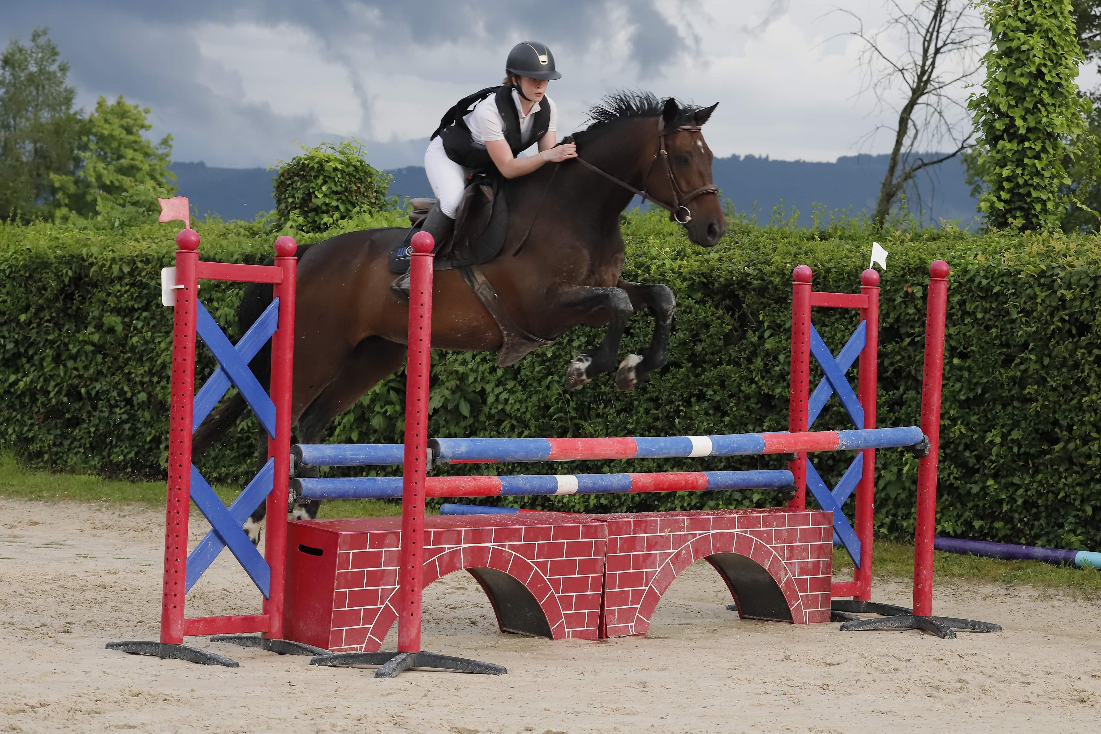 Je pratique l'équitation depuis mes 3 ans, je suis à l'aise avec les chevaux pour des shootings réussis ! 