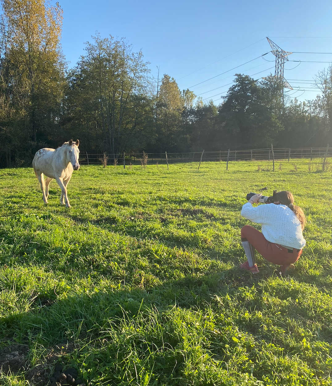 Le beau Isha, un cheval aveugle