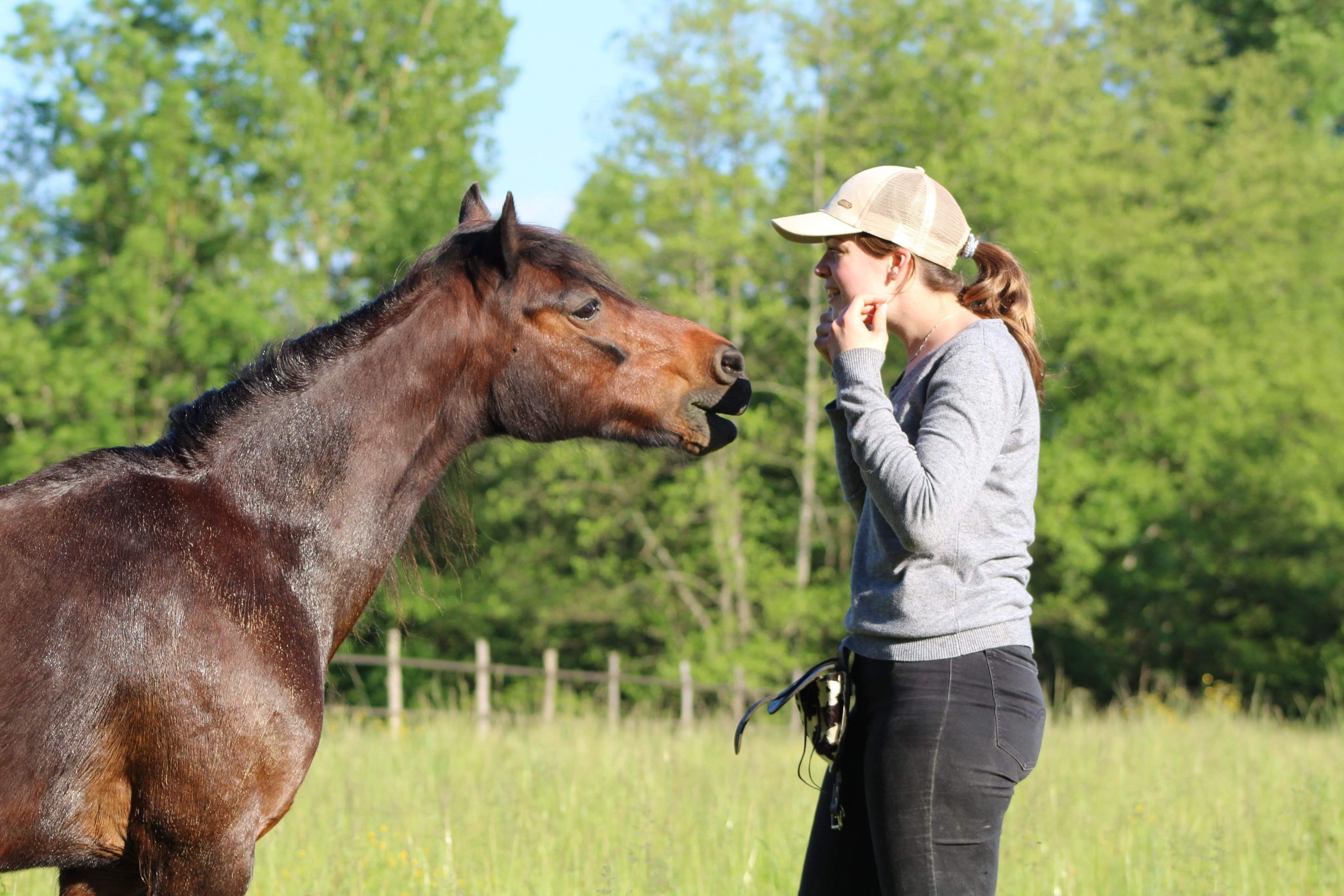 Voici ma ponette Lili qui m'accompagne depuis 2012