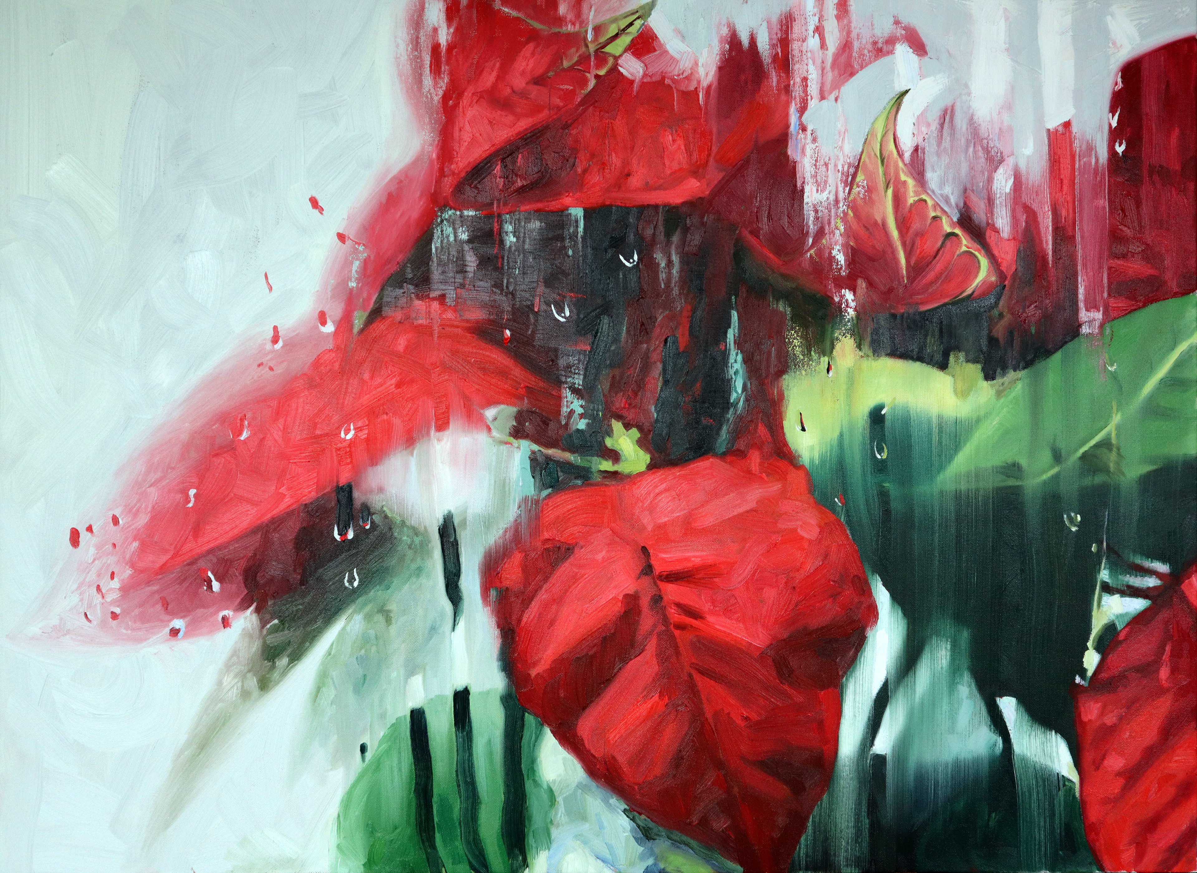 Poinsetta 30x40" Oil on Canvas 