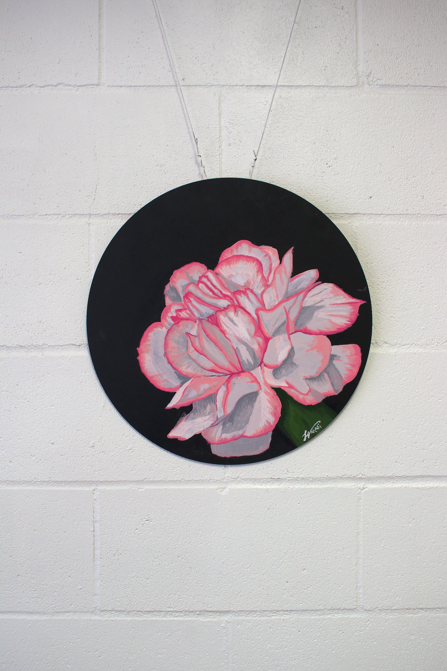Day 14 Carnation